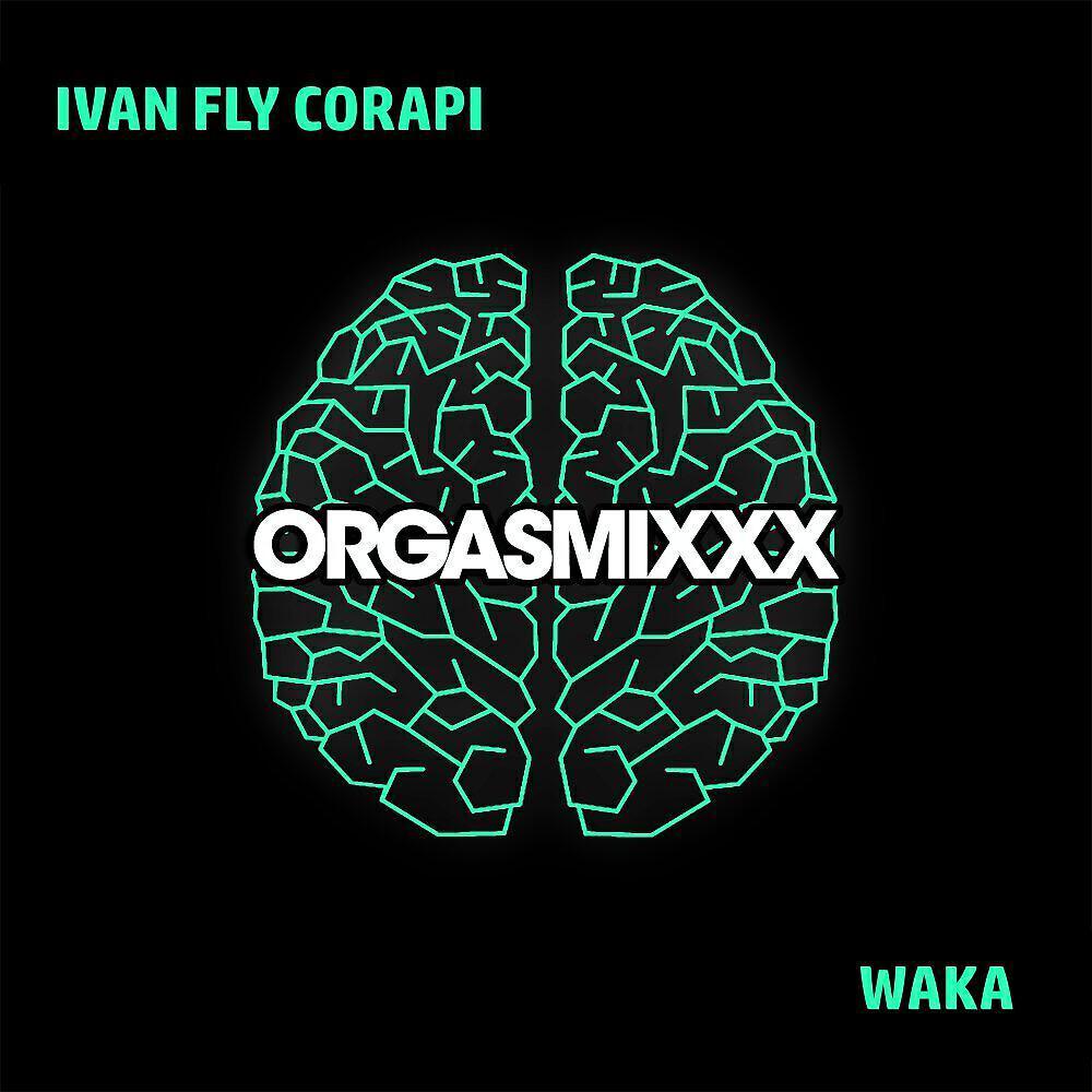 Ivan Fly Corapi