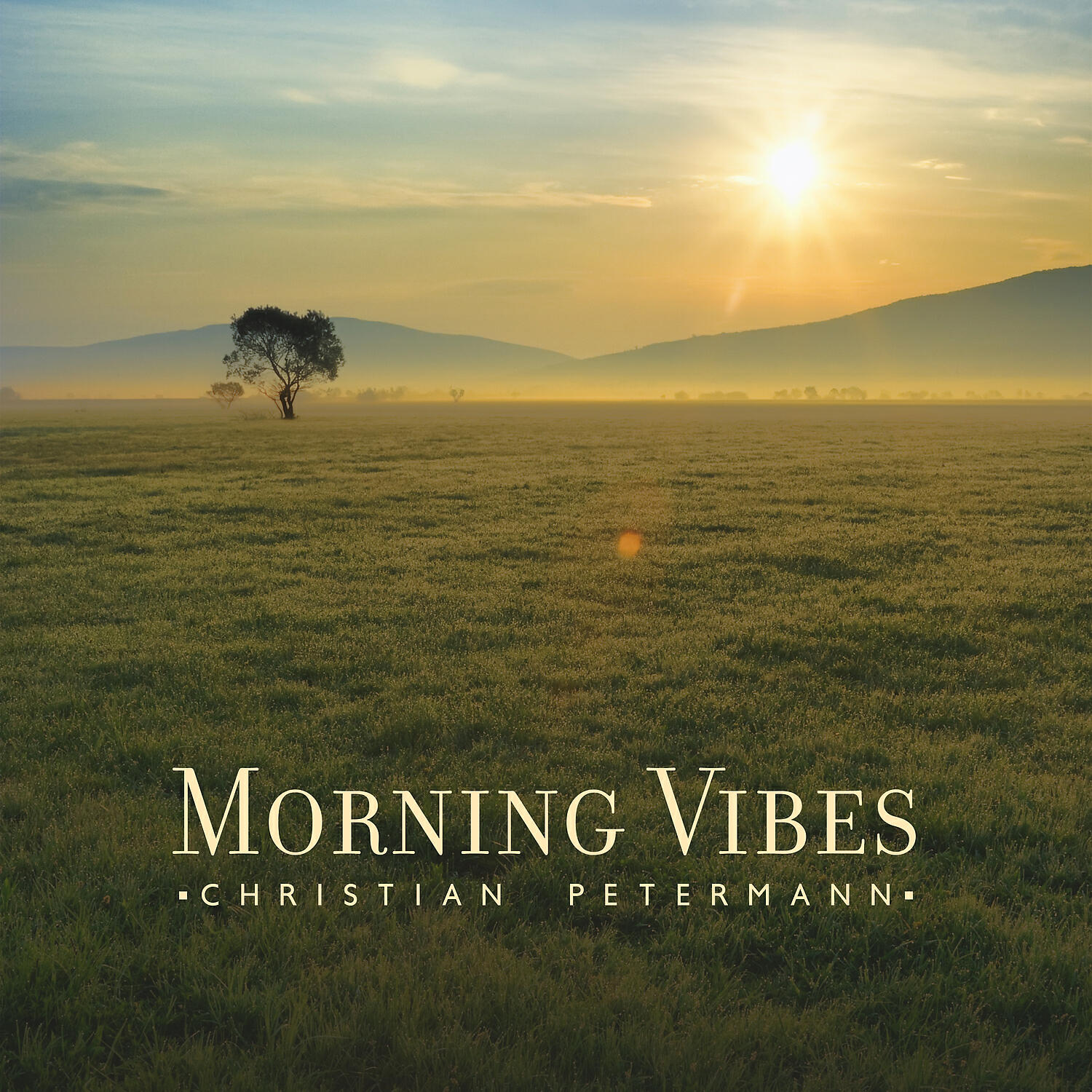Релиз Morning Vibes