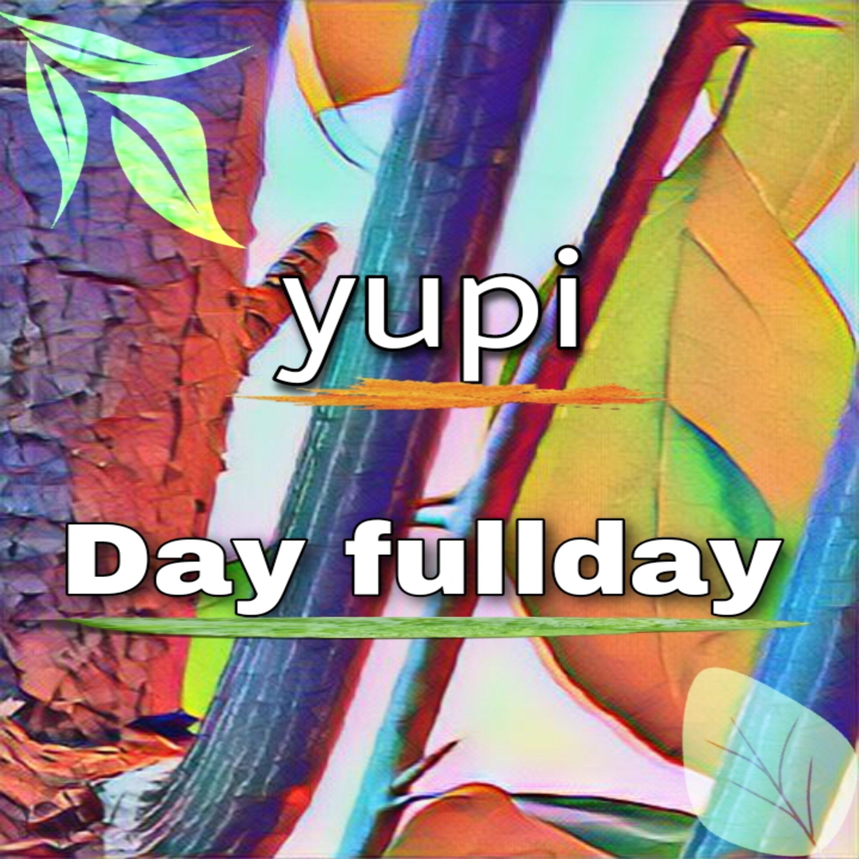 Постер альбома Day fullday