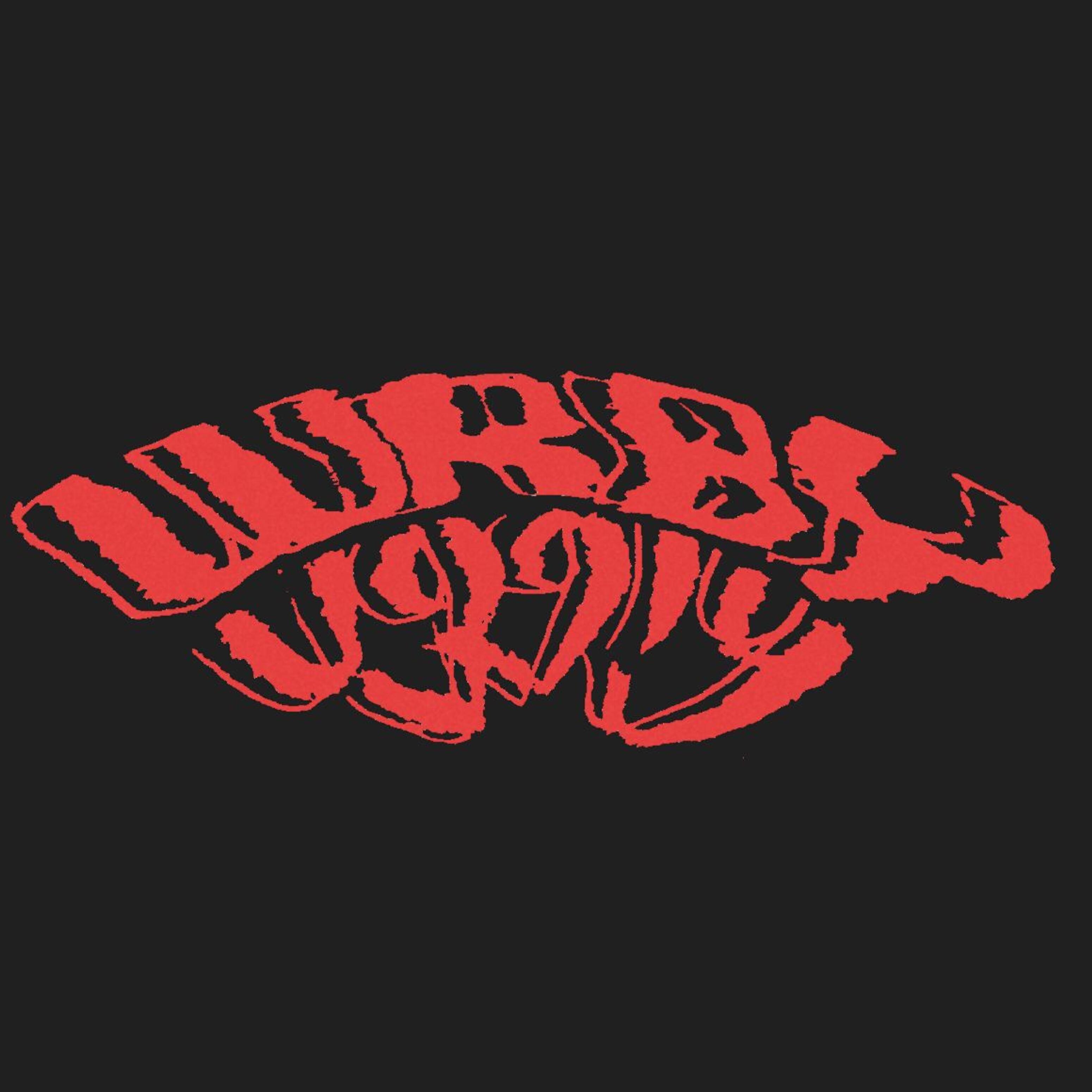 Релиз Wrby