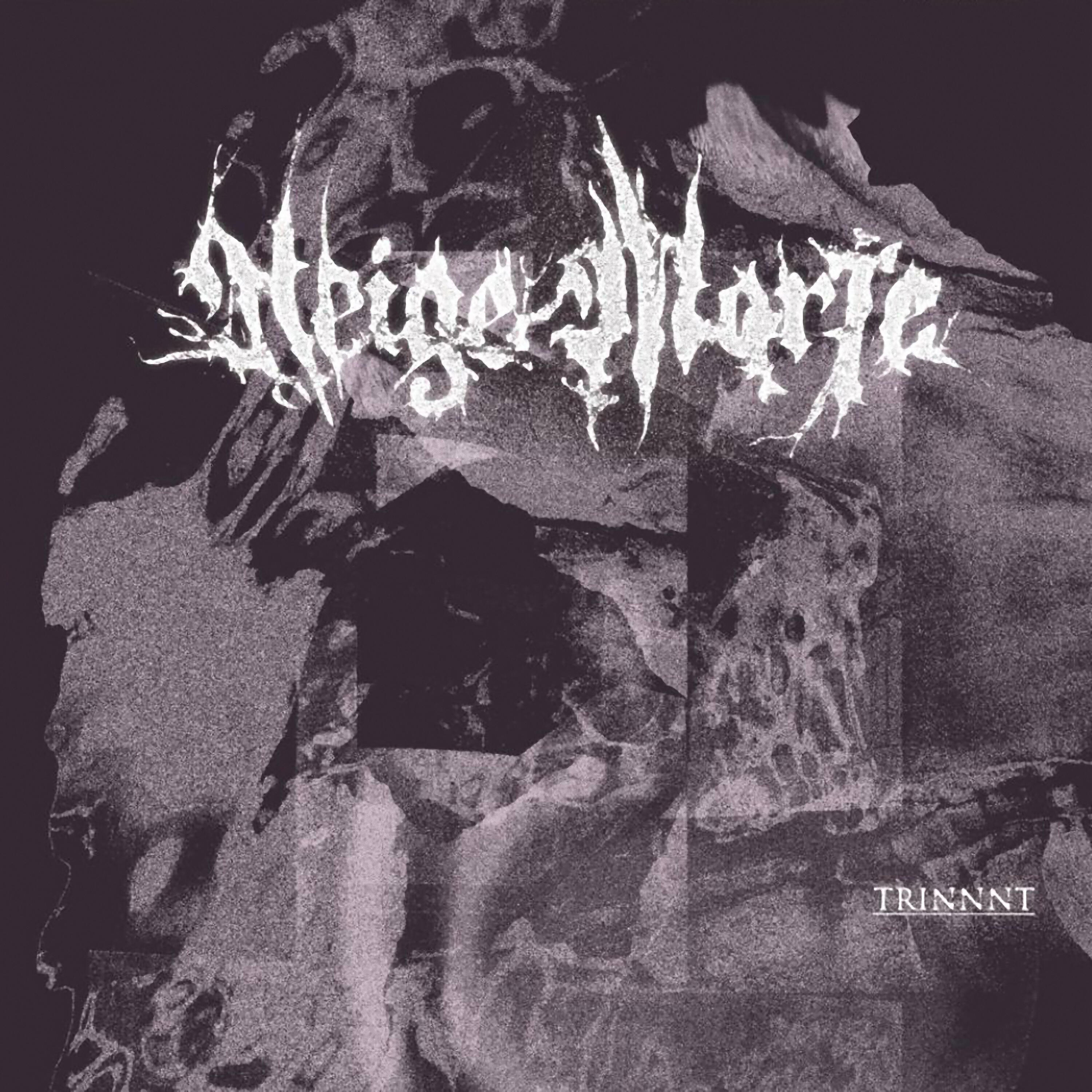 Релиз TRINNNT