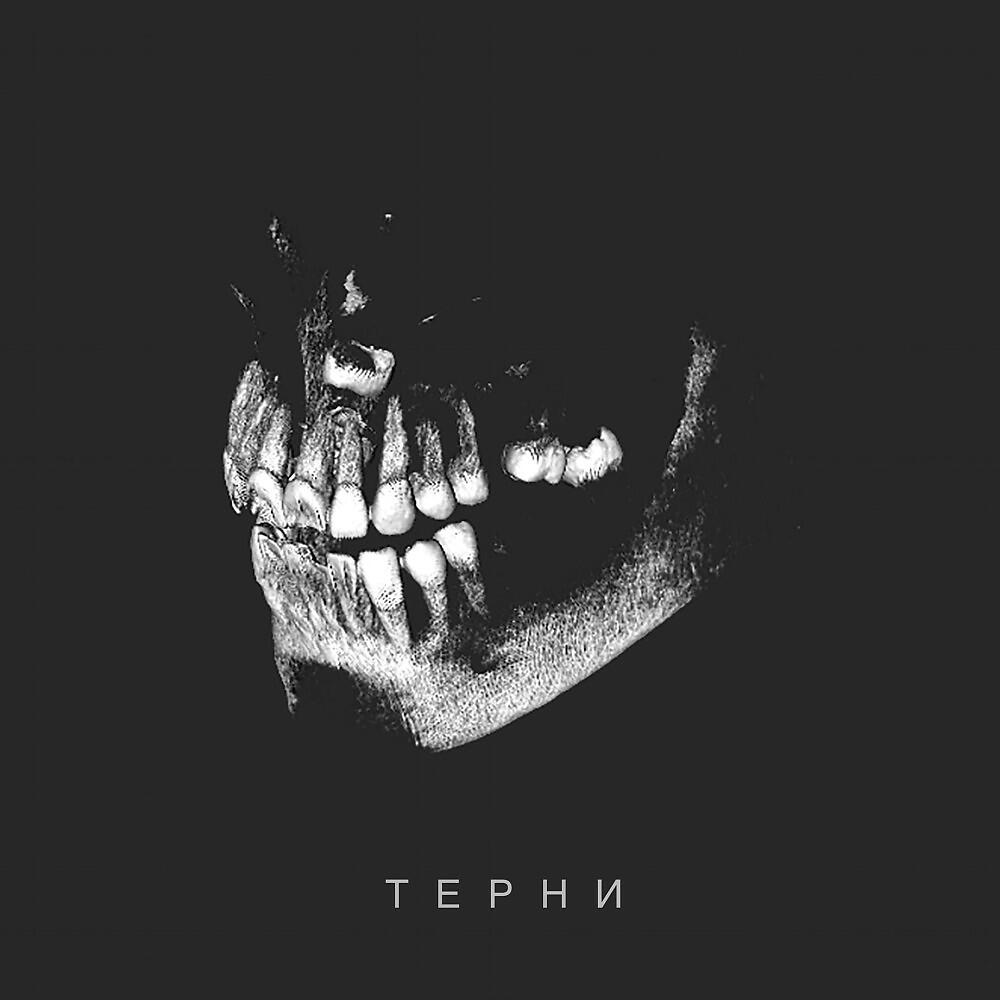 Релиз Терни