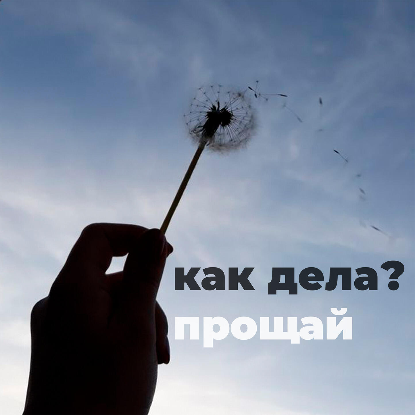 Постер альбома прощай