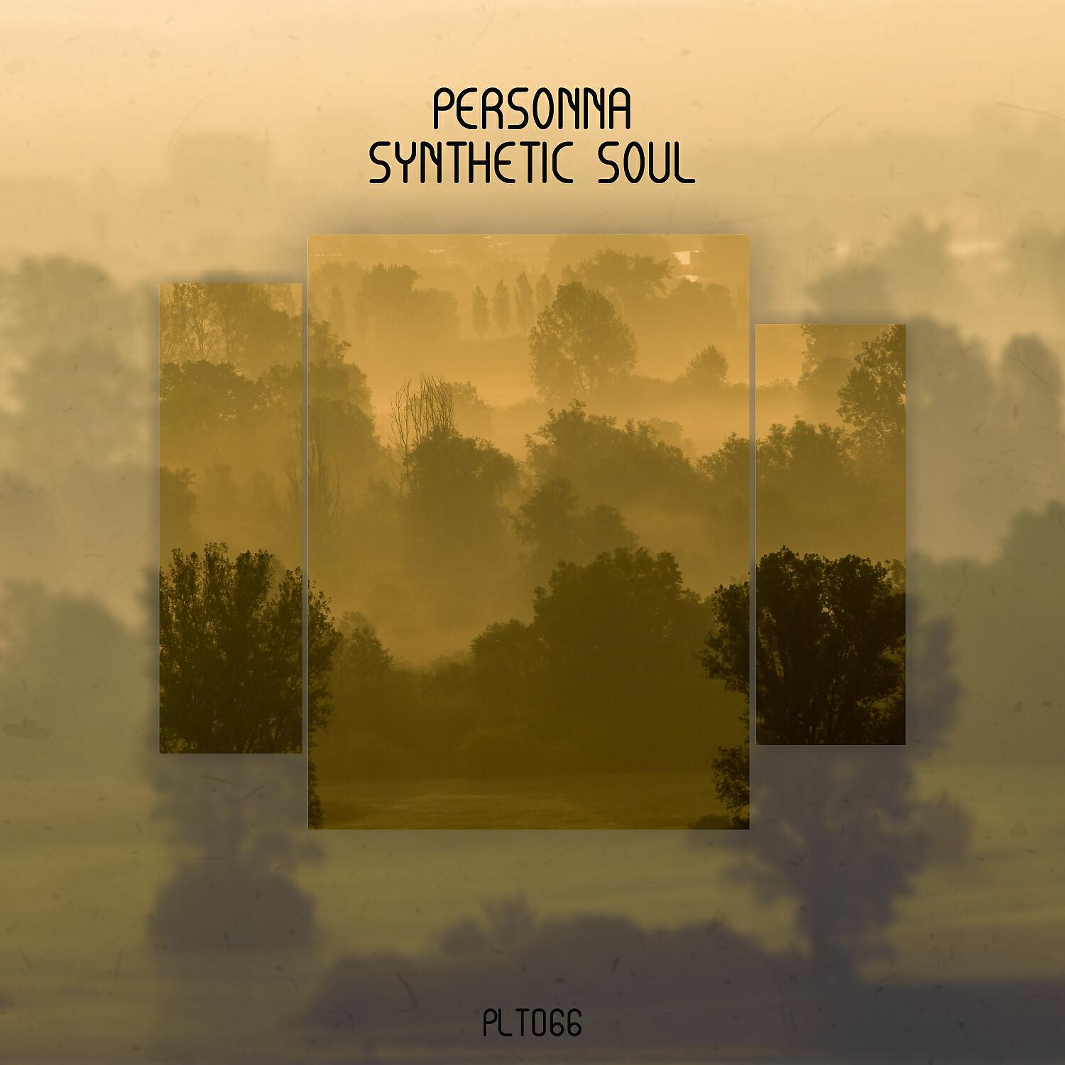 Релиз Synthetic Soul EP (Stream Version)