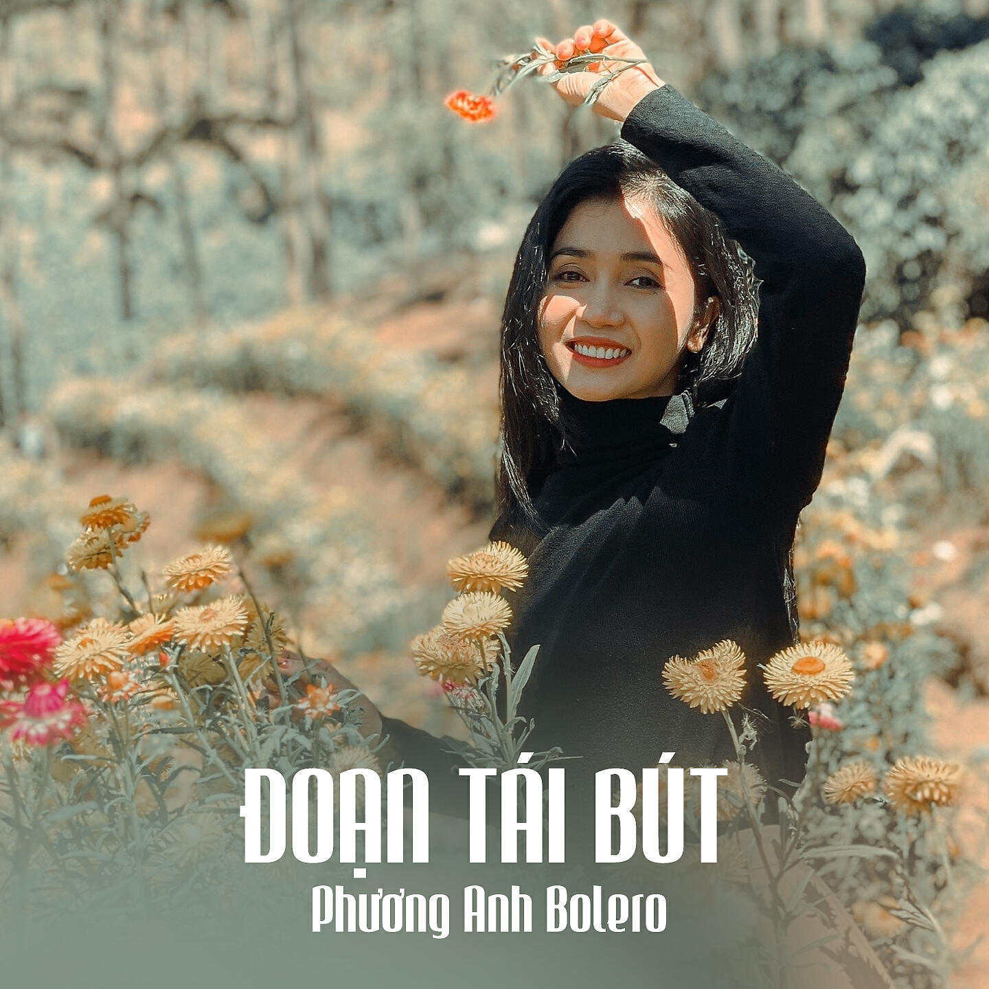 Релиз Đoạn Tái Bút