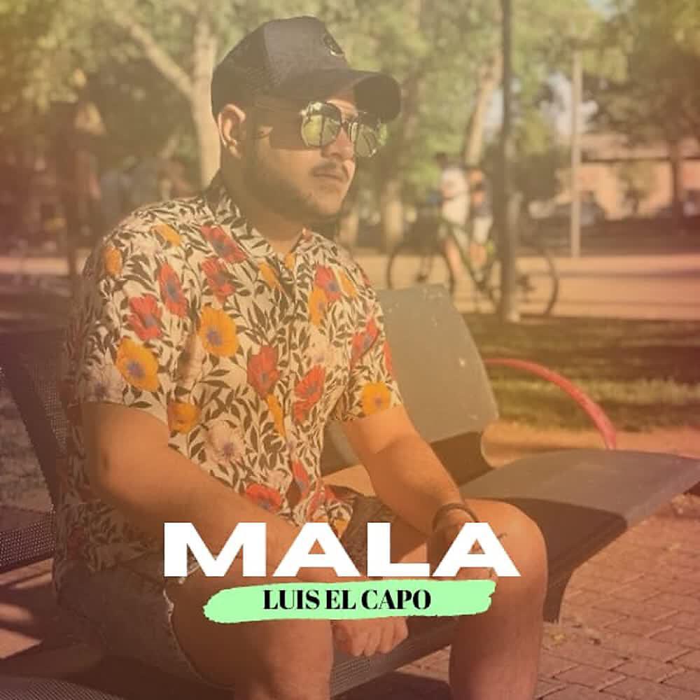 Релиз Mala