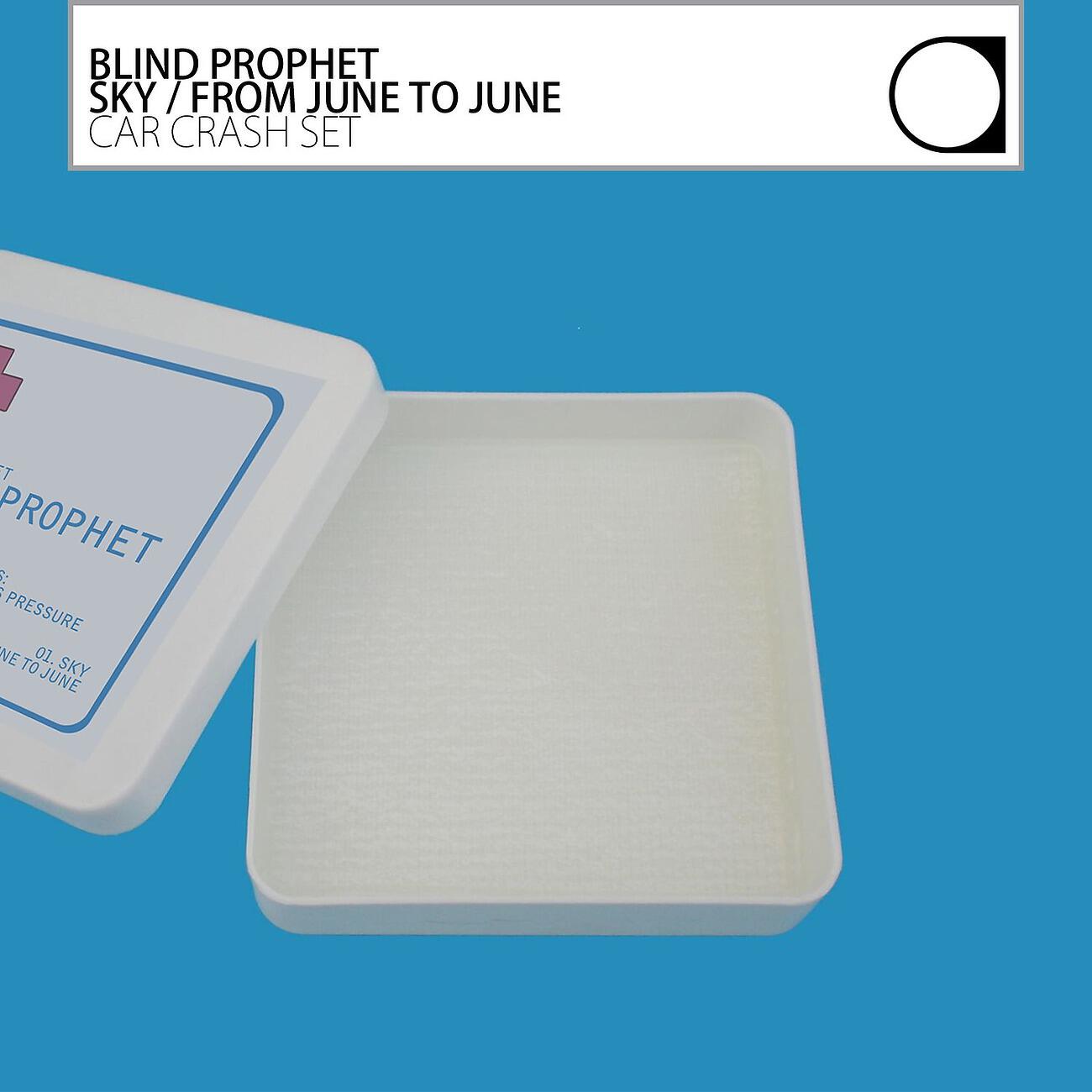 Релиз Sky / From June To June