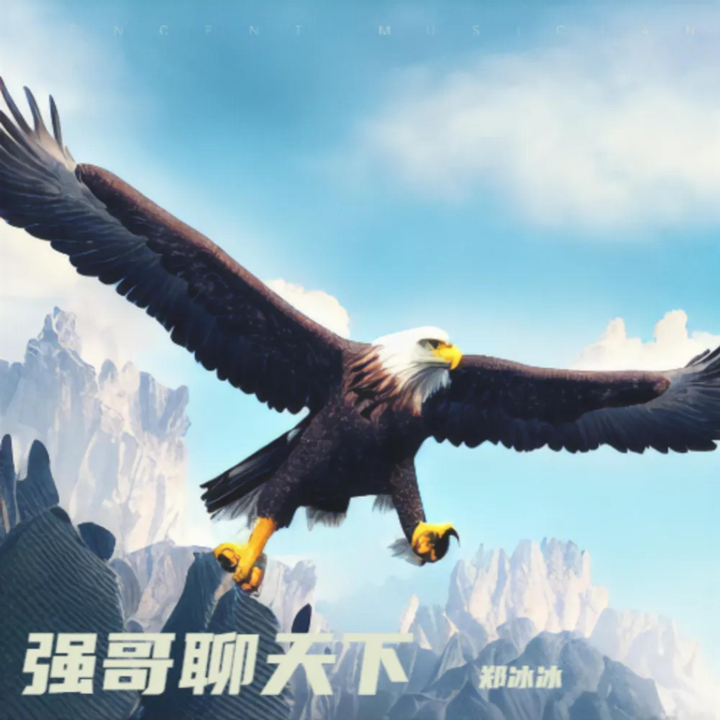 Релиз 强哥聊天下