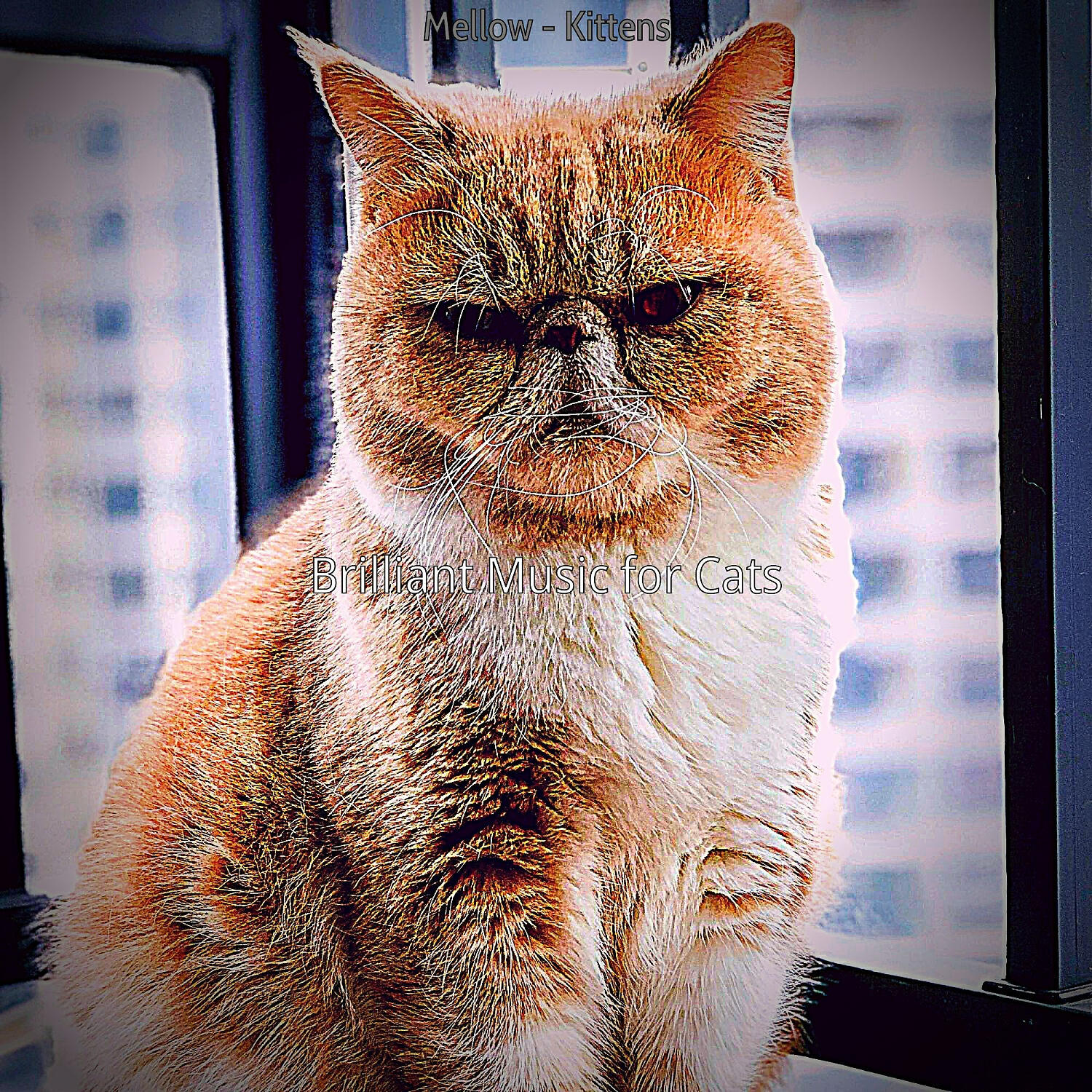 Релиз Mellow - Kittens