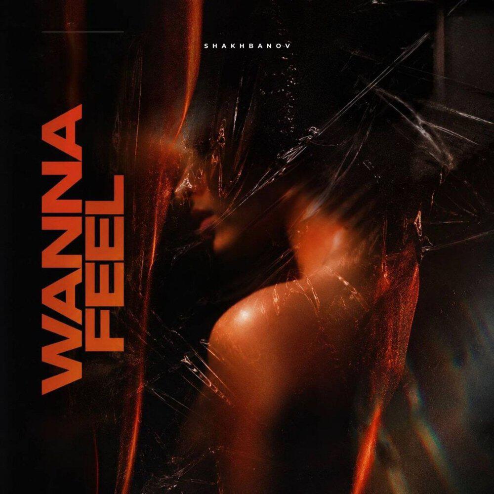 Релиз Wanna Feel