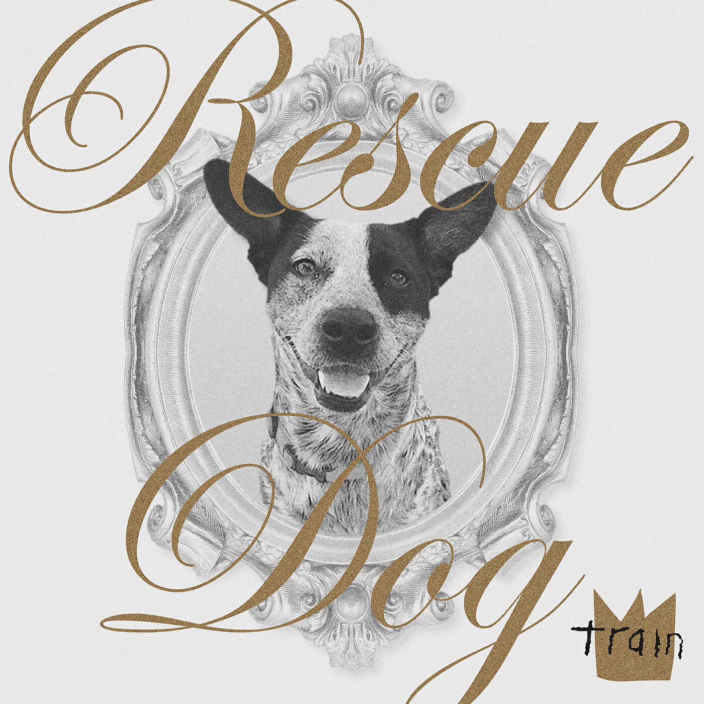 Релиз Rescue Dog