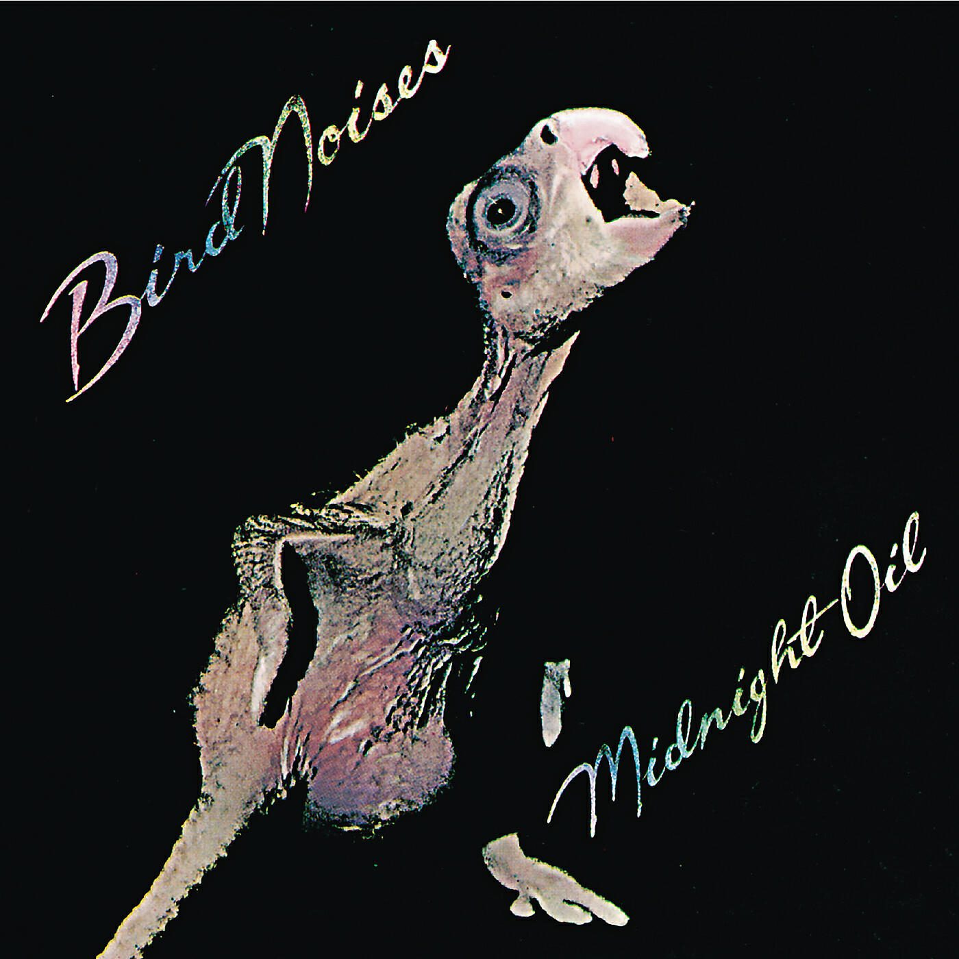 Релиз Bird Noises