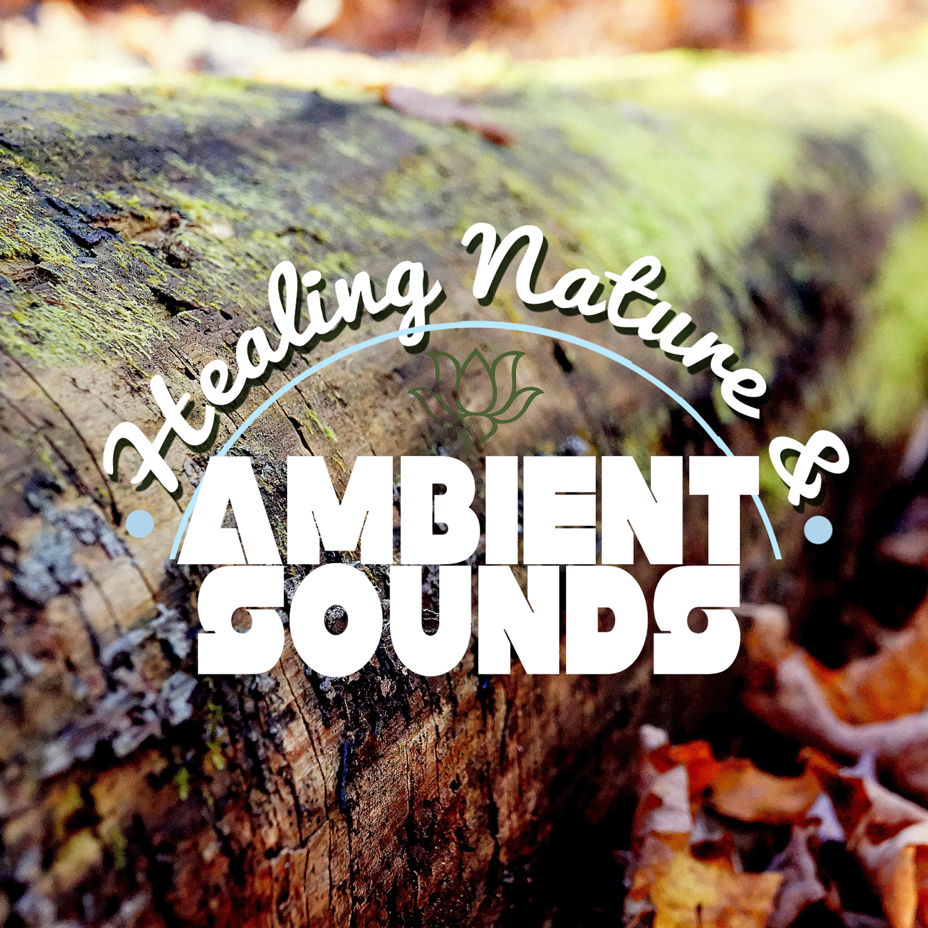Релиз Healing Nature & Ambient Sounds