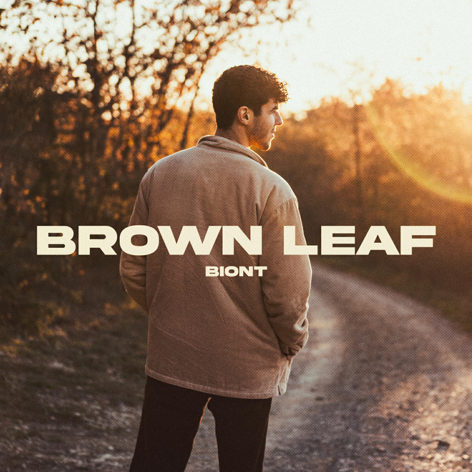 Релиз Brown Leaf