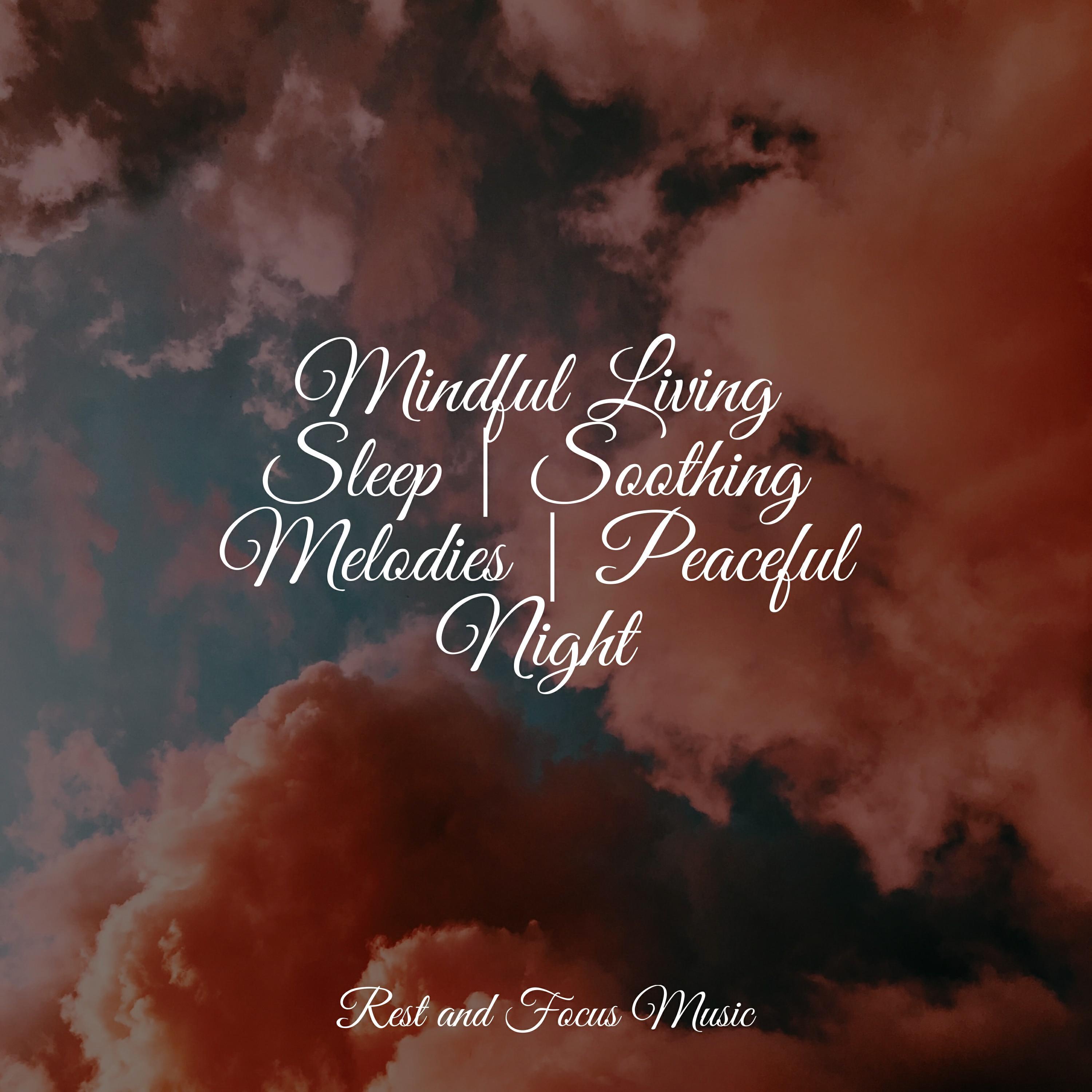 Релиз Mindful Living Sleep | Soothing Melodies | Peaceful Night