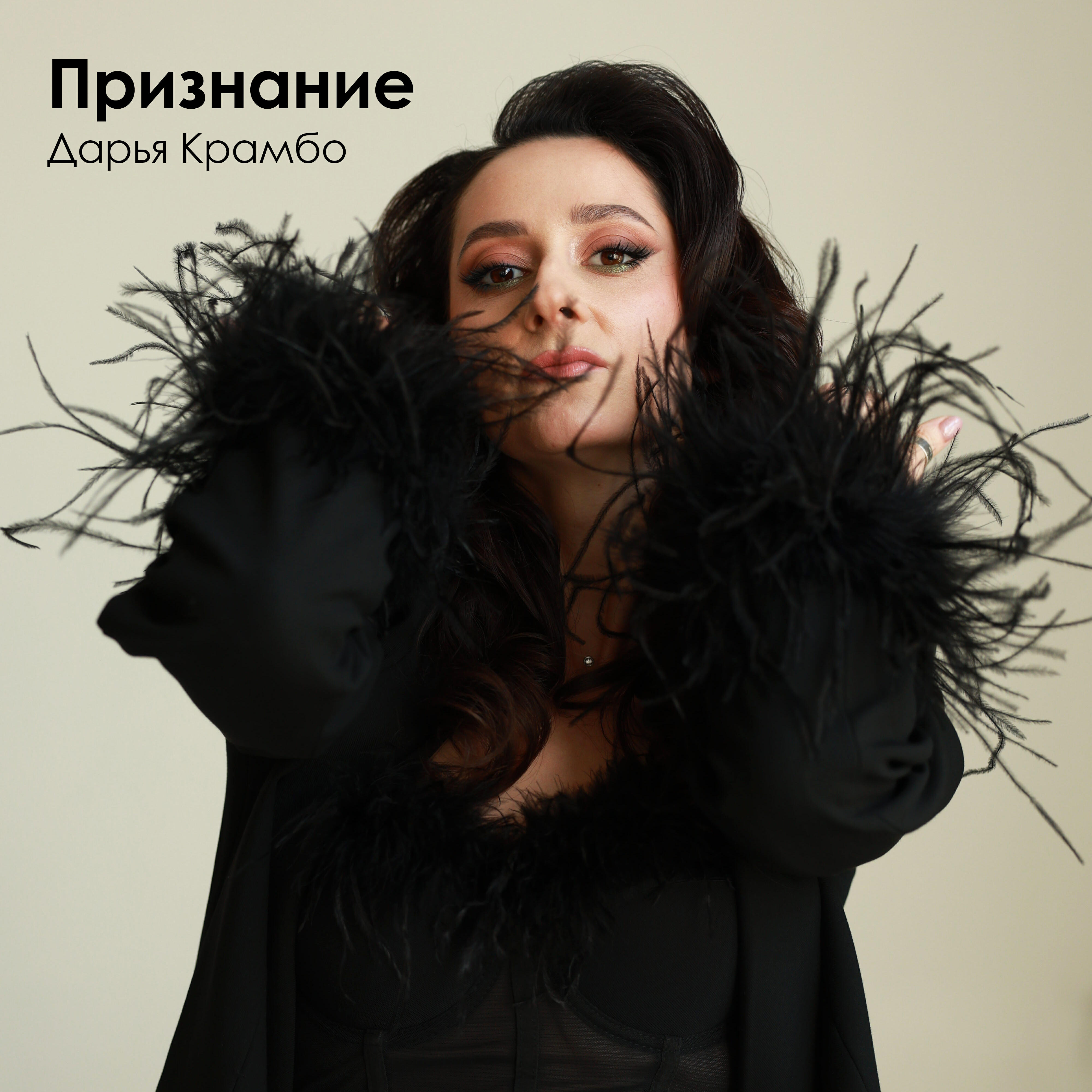 Постер альбома Признание