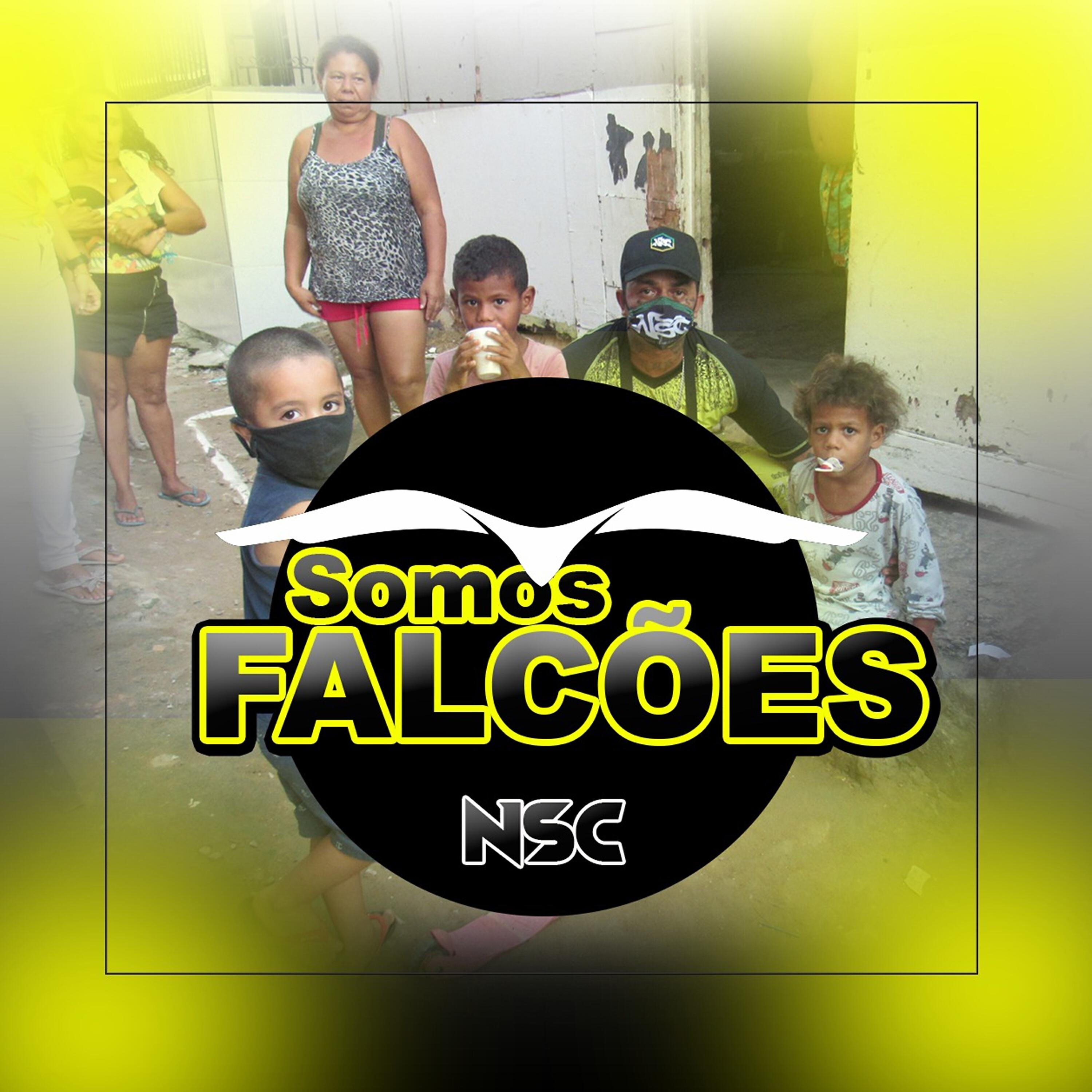 Релиз Somos Falcões