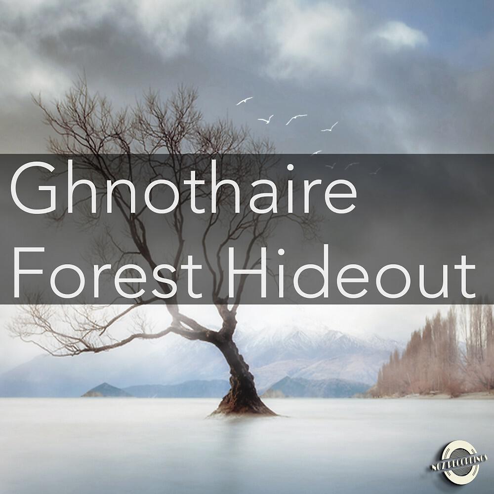Релиз Forest Hideout