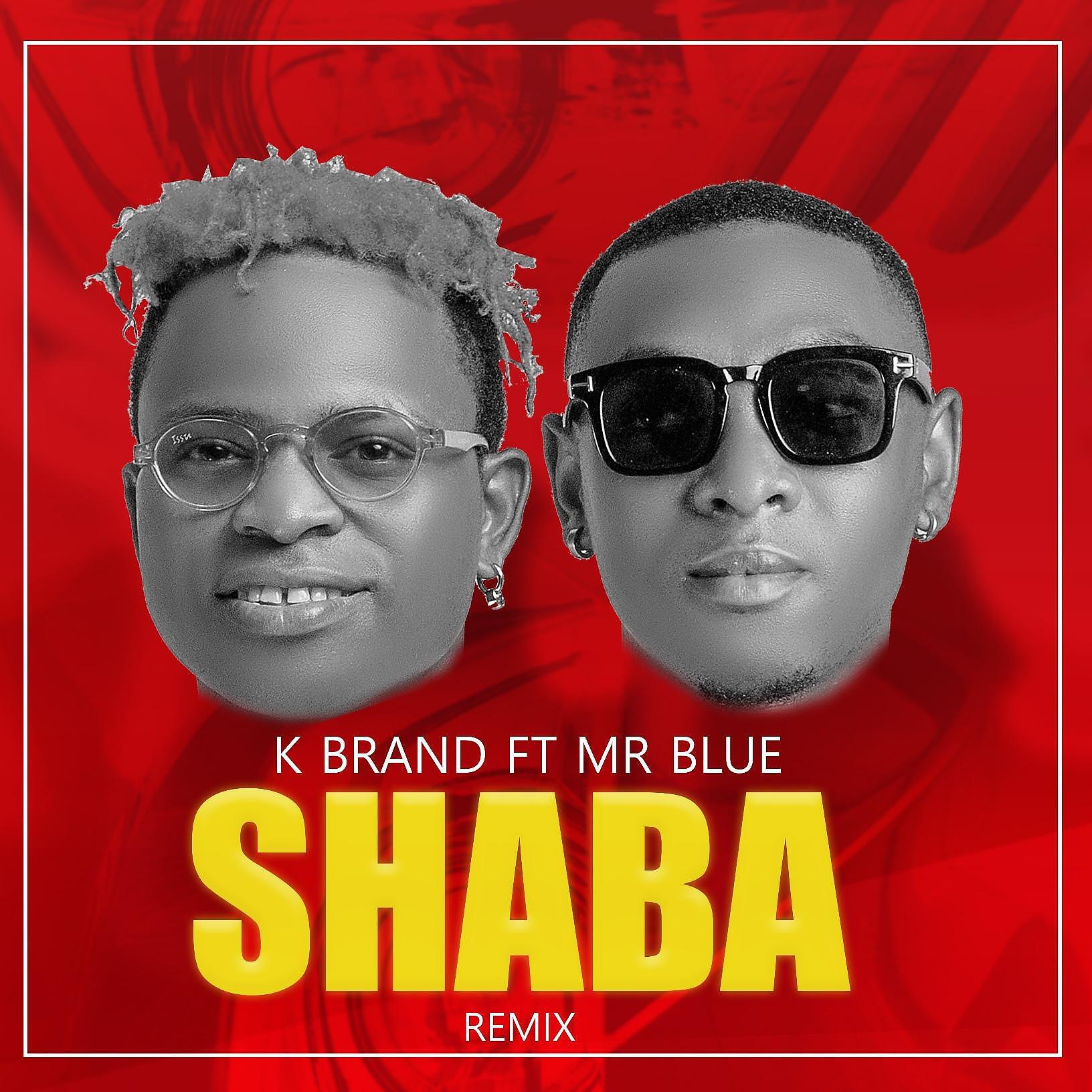 Релиз Shaba Remix (feat. Mr. blue)