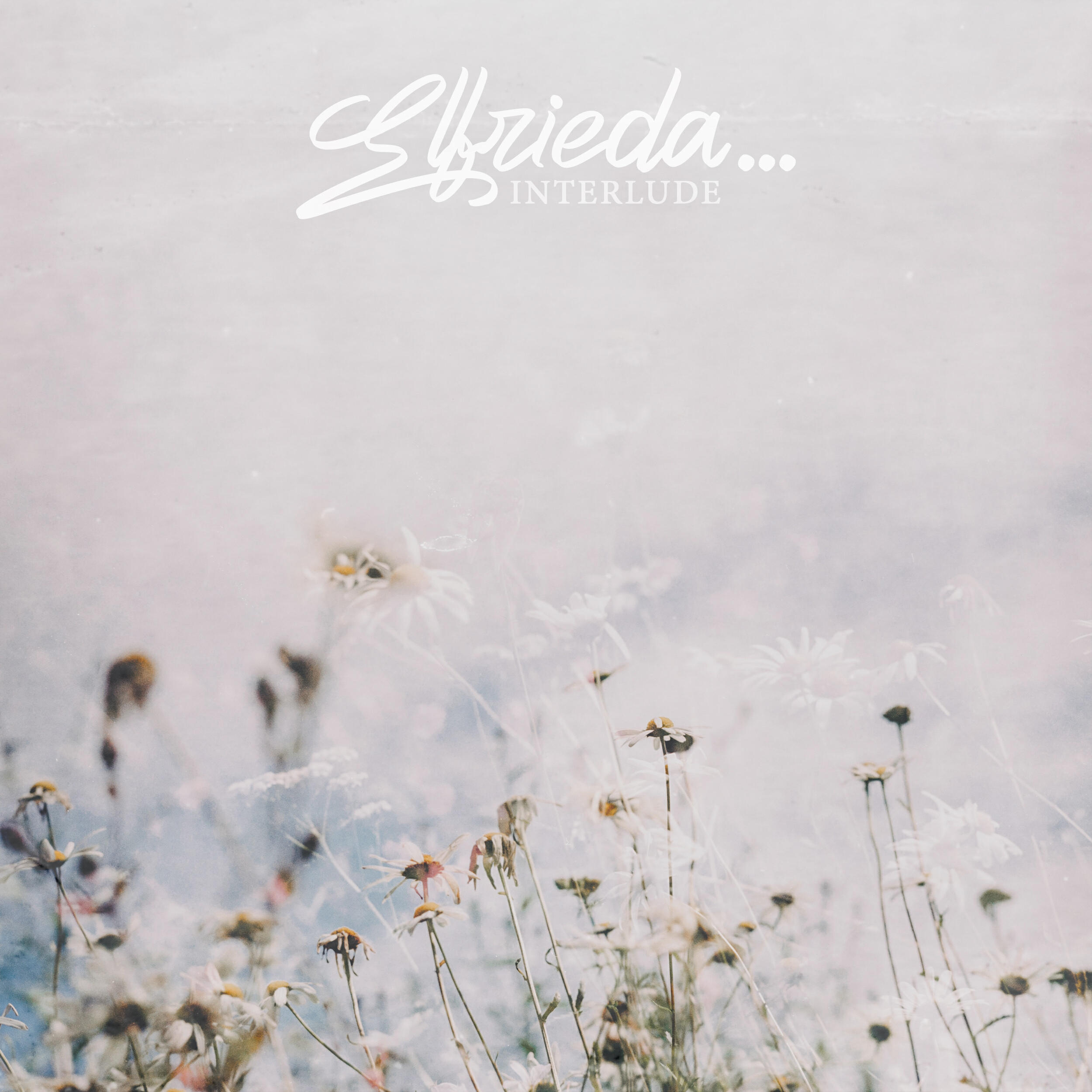 Релиз Interlude