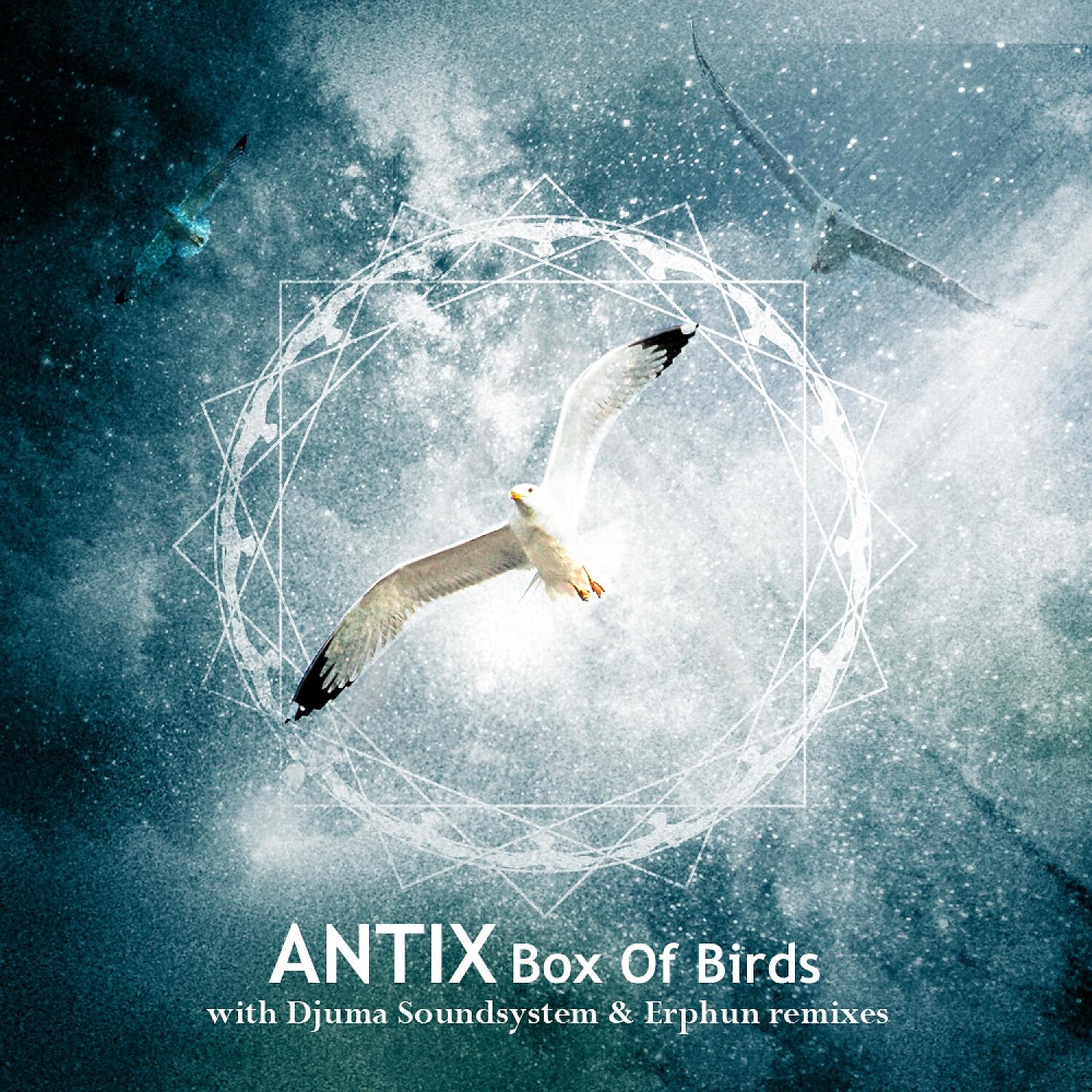 Релиз Box of Birds