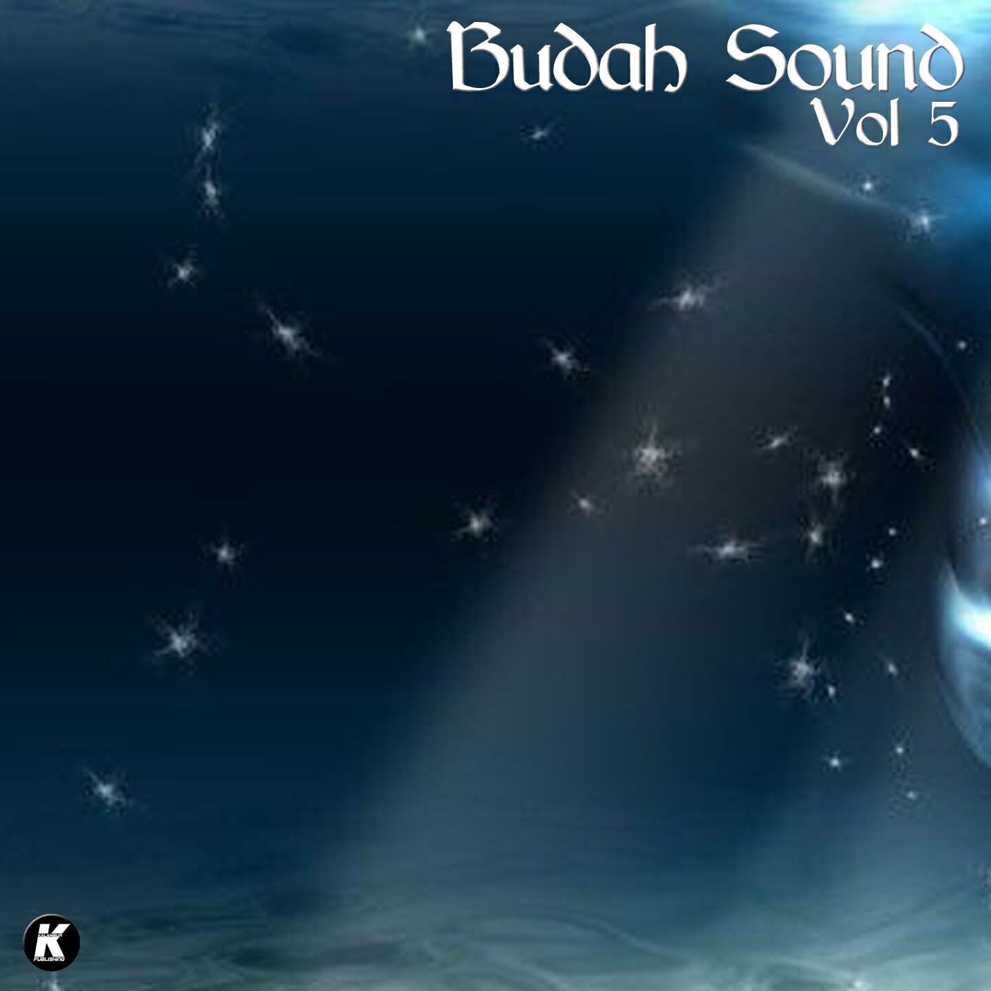 Релиз Budah Sound, Vol. 5