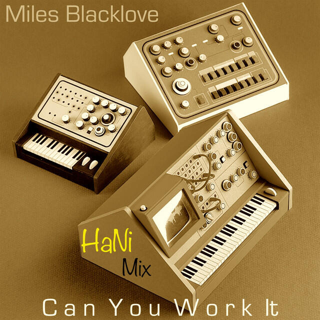 Релиз Can You Work It (Hani's Radio Mix)