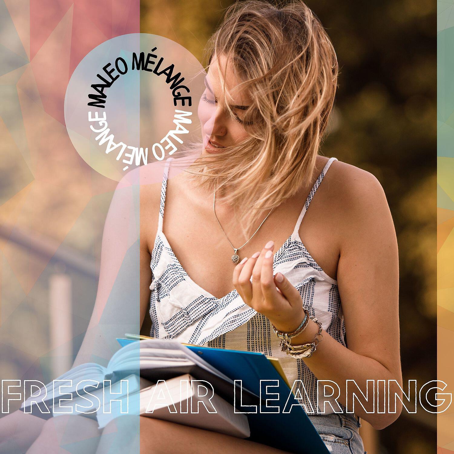 Релиз Fresh Air Learning - Background Instrumental Music