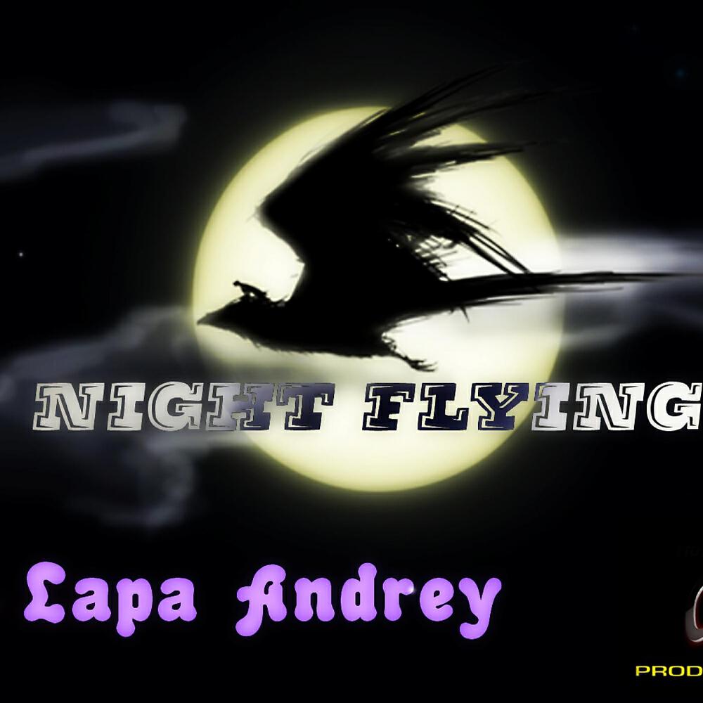 Релиз Night Flying