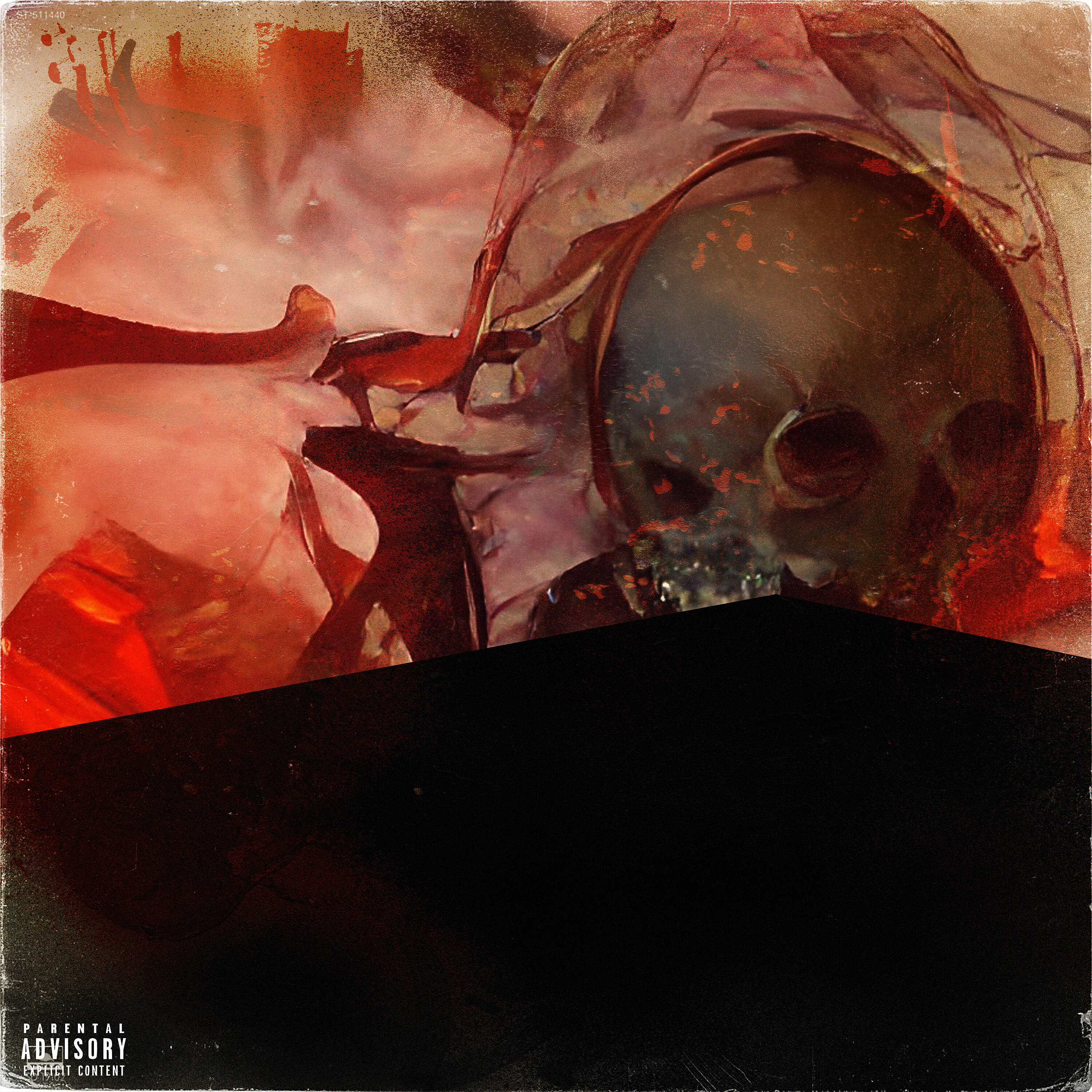 Релиз ACEDIA