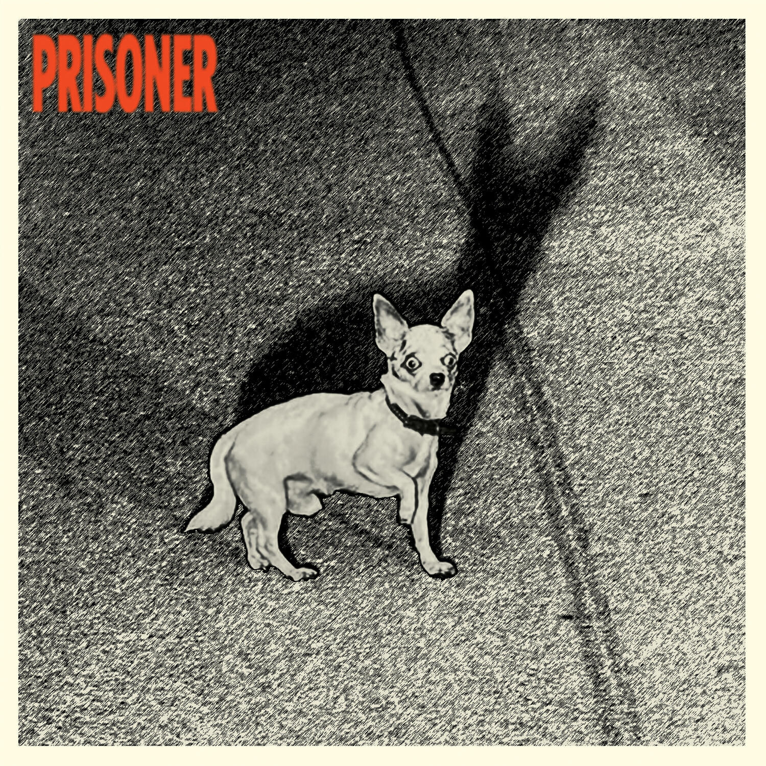 prisoner