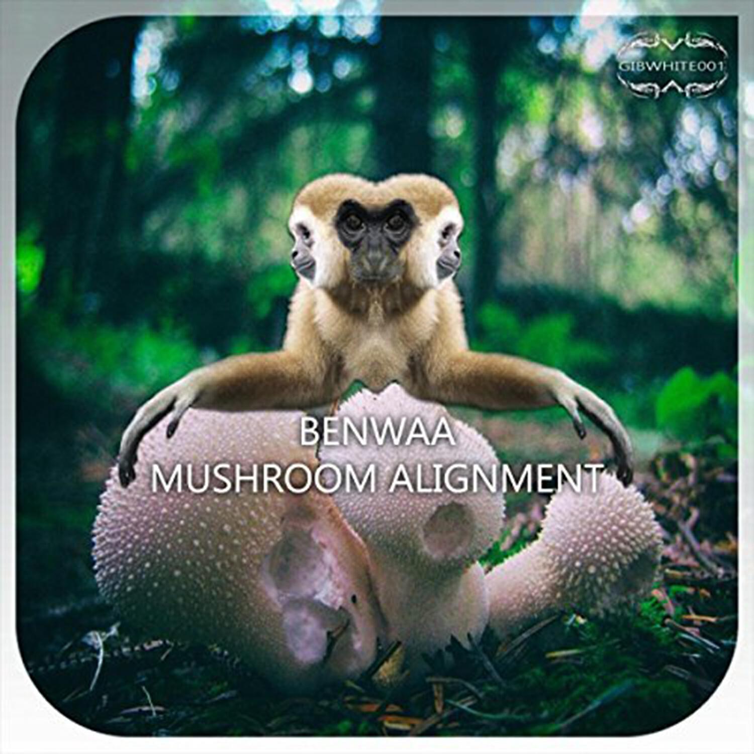 Релиз Mushroom Alignment