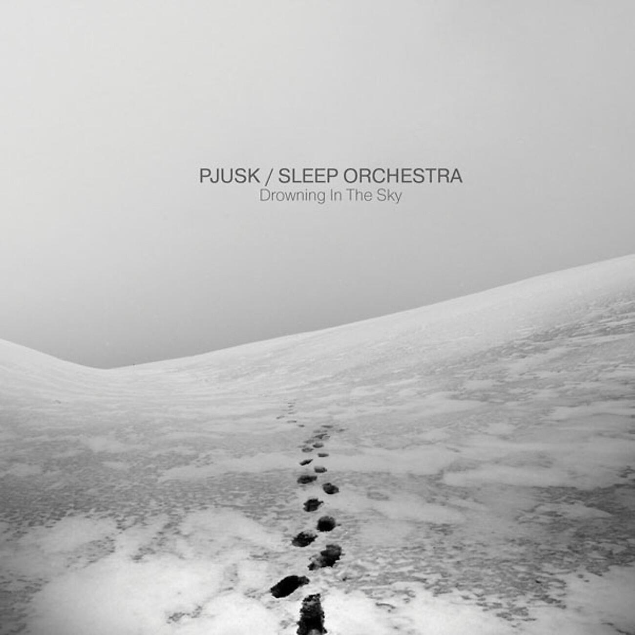 Релиз Drowning In The Sky