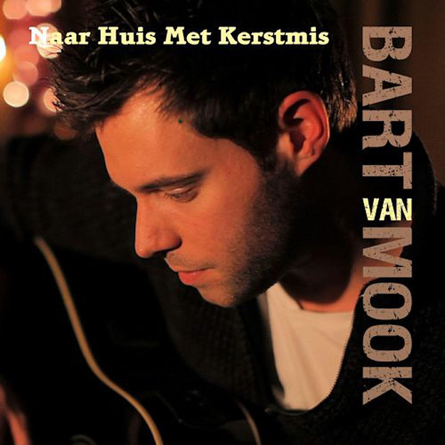 Bart van Mook