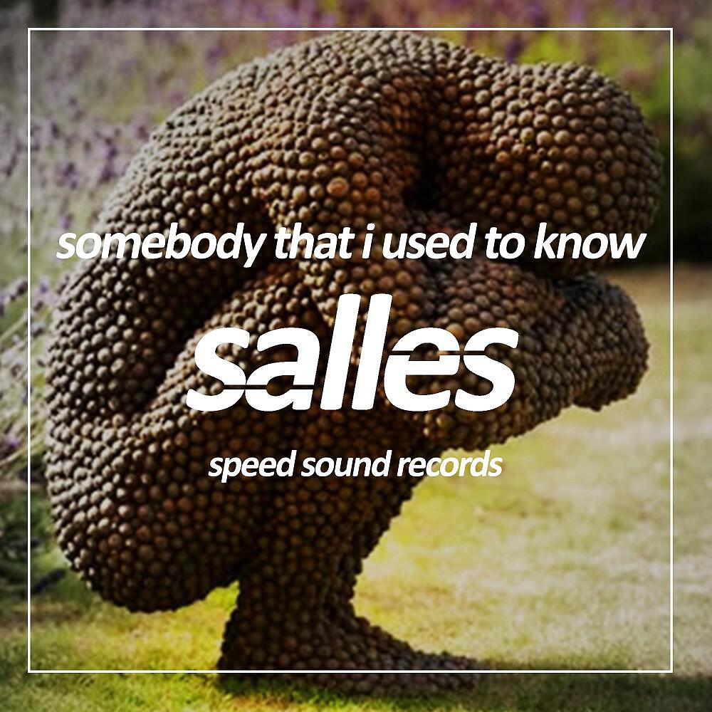 Релиз Somebody That I Used to Know