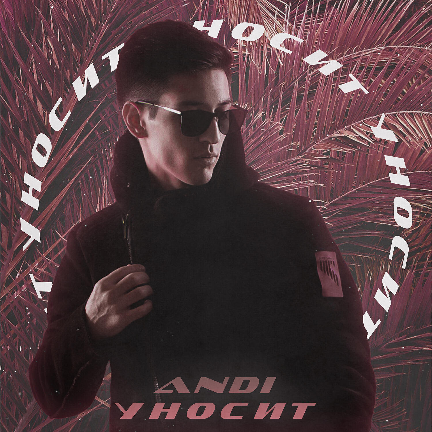 Постер альбома Уносит