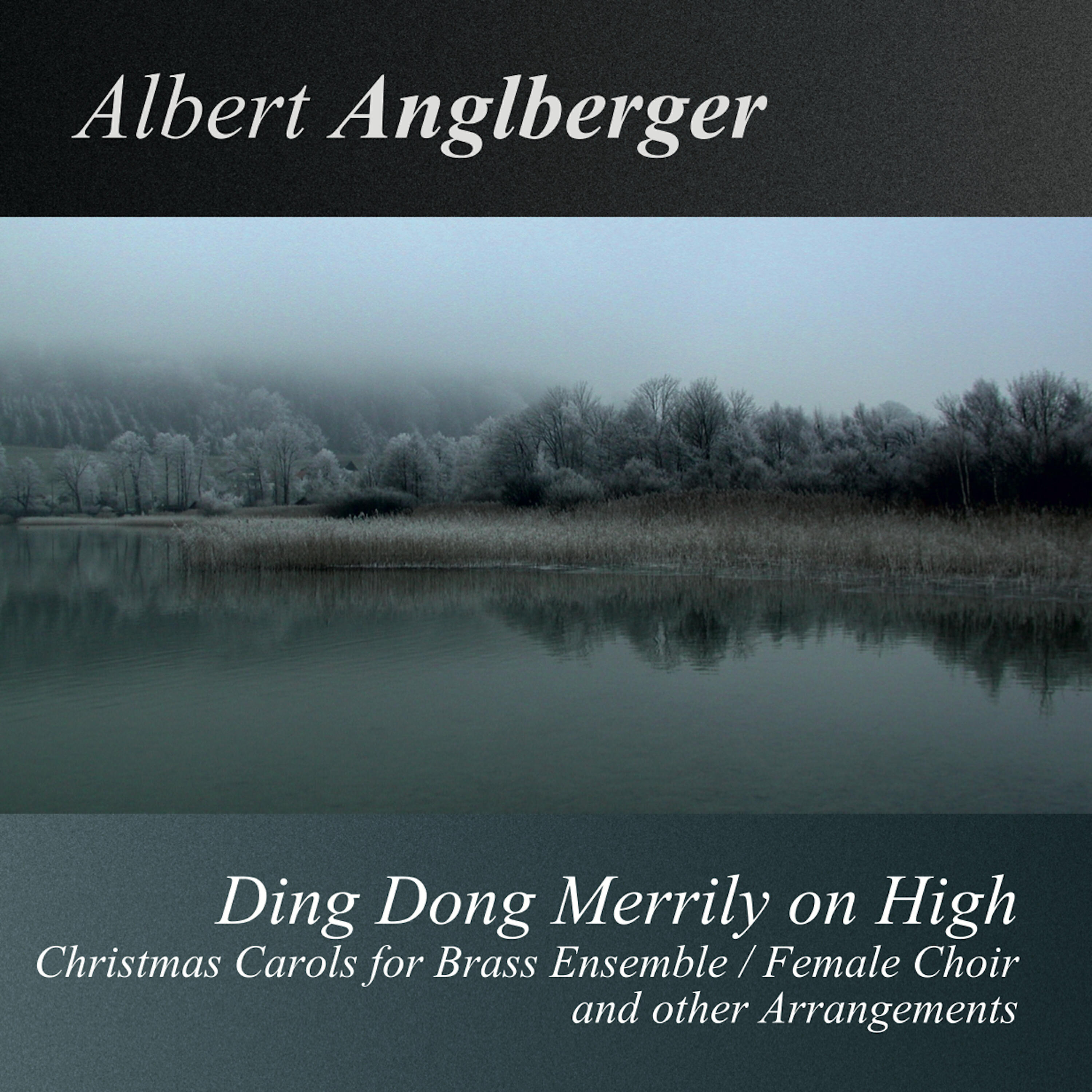 Релиз Ding Dong Merrily On High