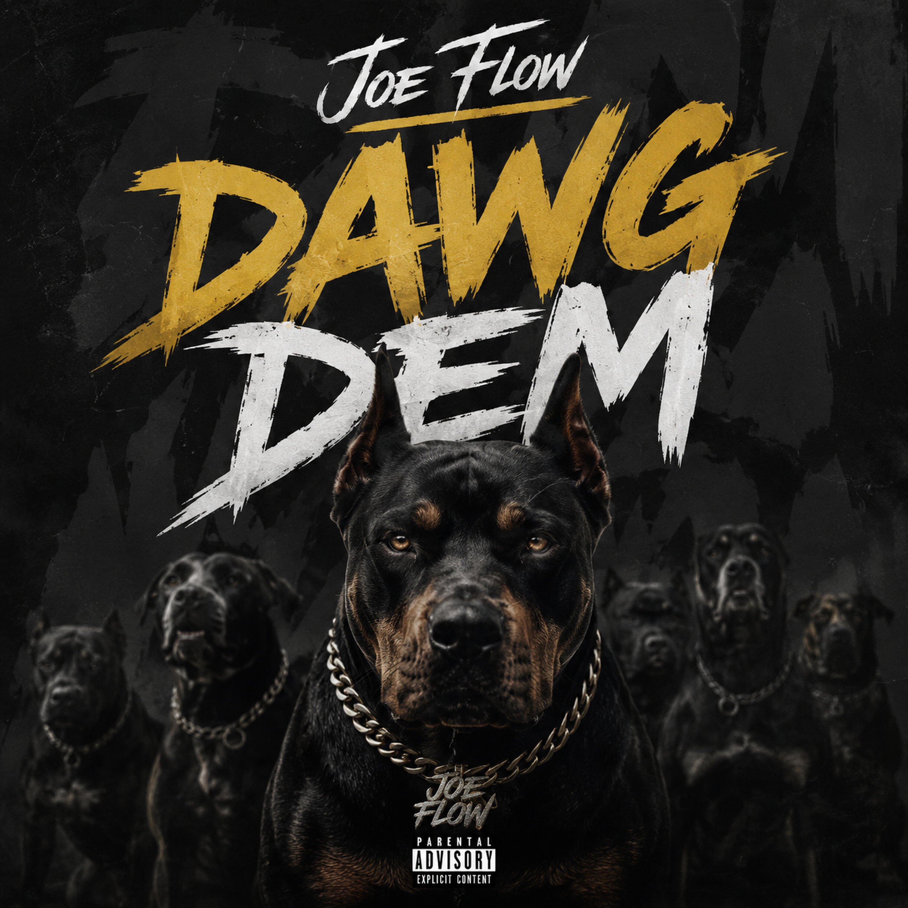 Joe Flow