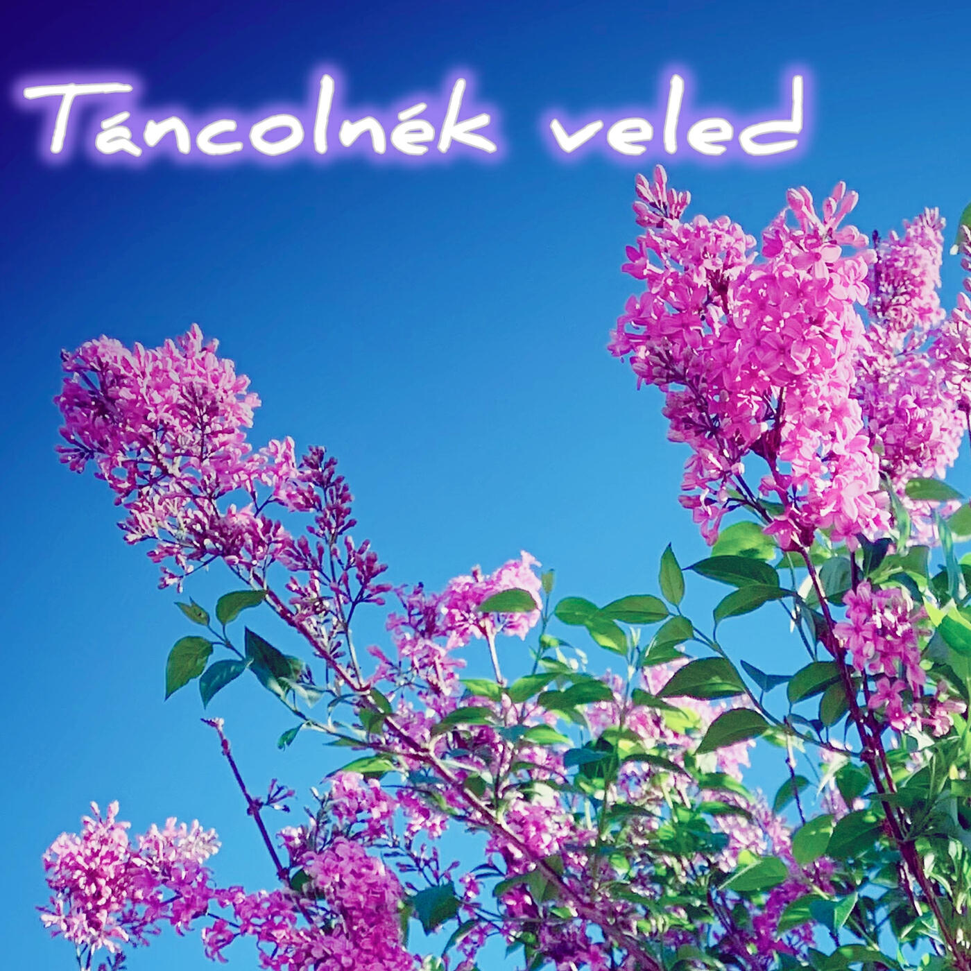 Релиз Táncolnék Veled