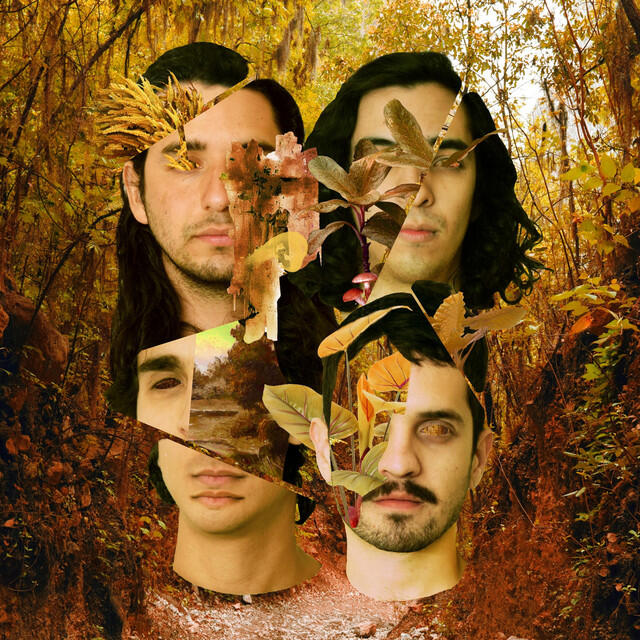 Релиз Bosque