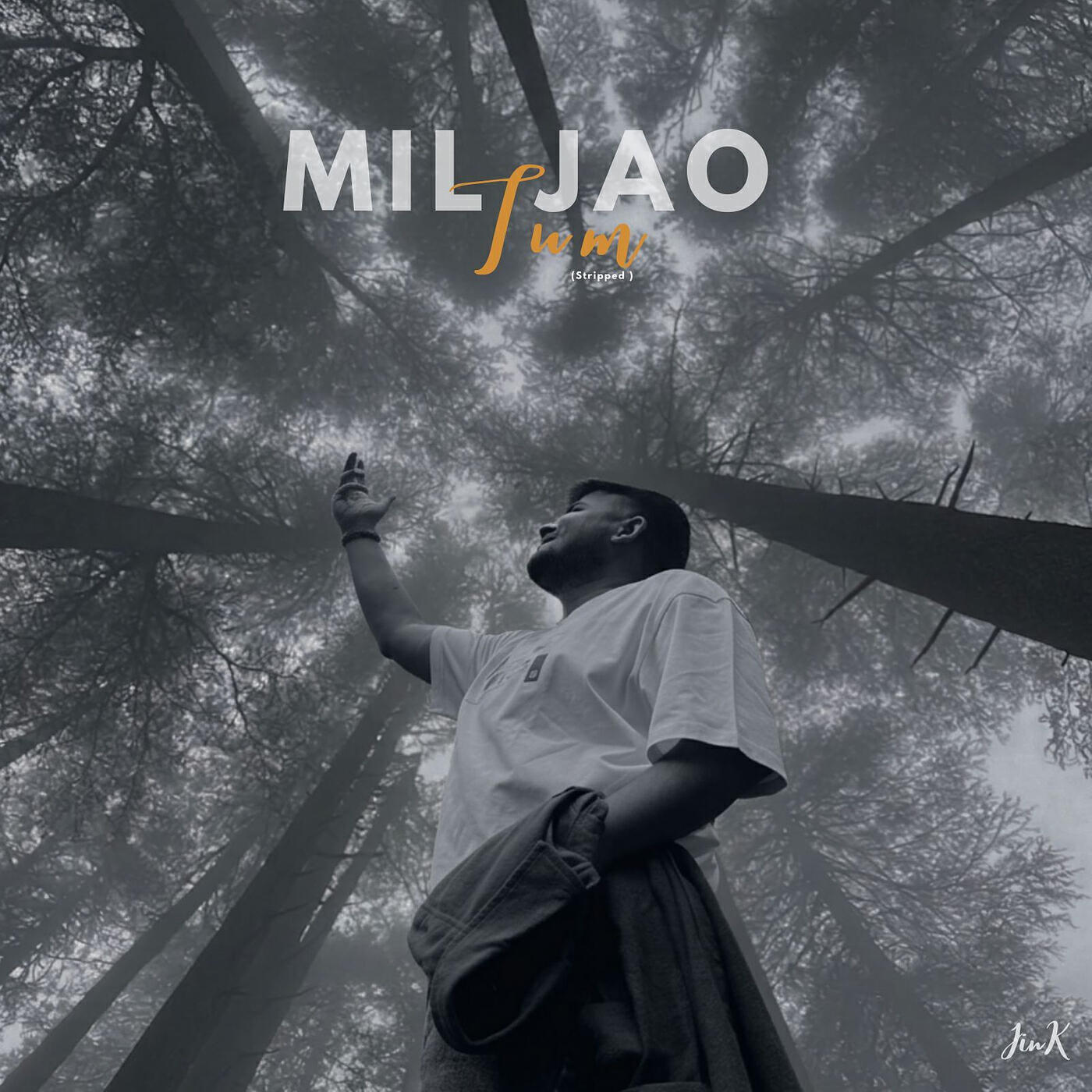Релиз Mil Jao Tum (Stripped)