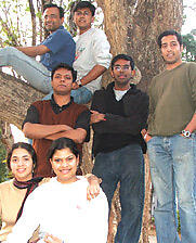 Bodhi Tree