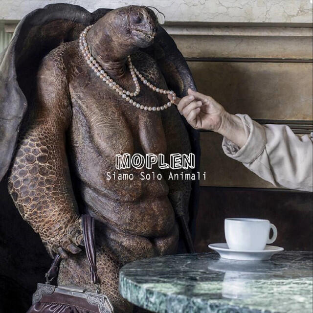 Релиз Siamo solo animali