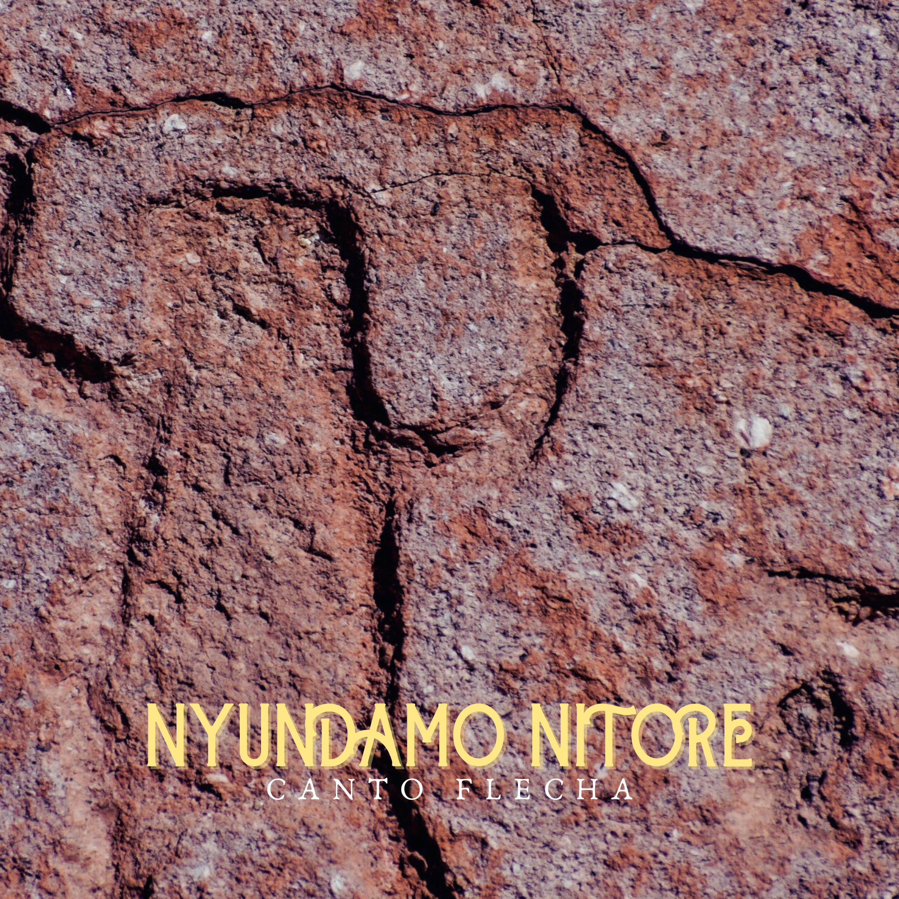 Релиз Nyundamo Nitore