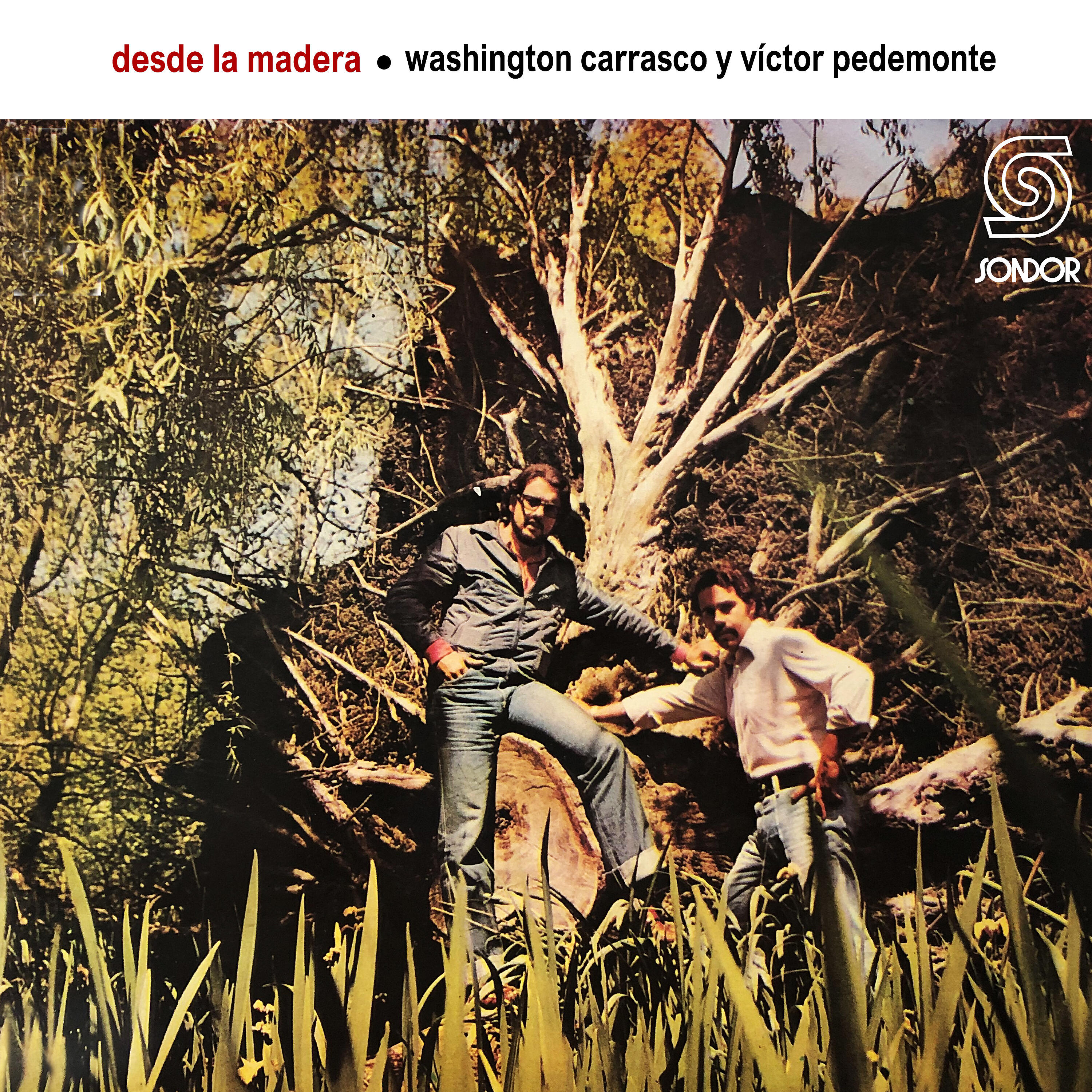 Víctor Manuel Pedemonte