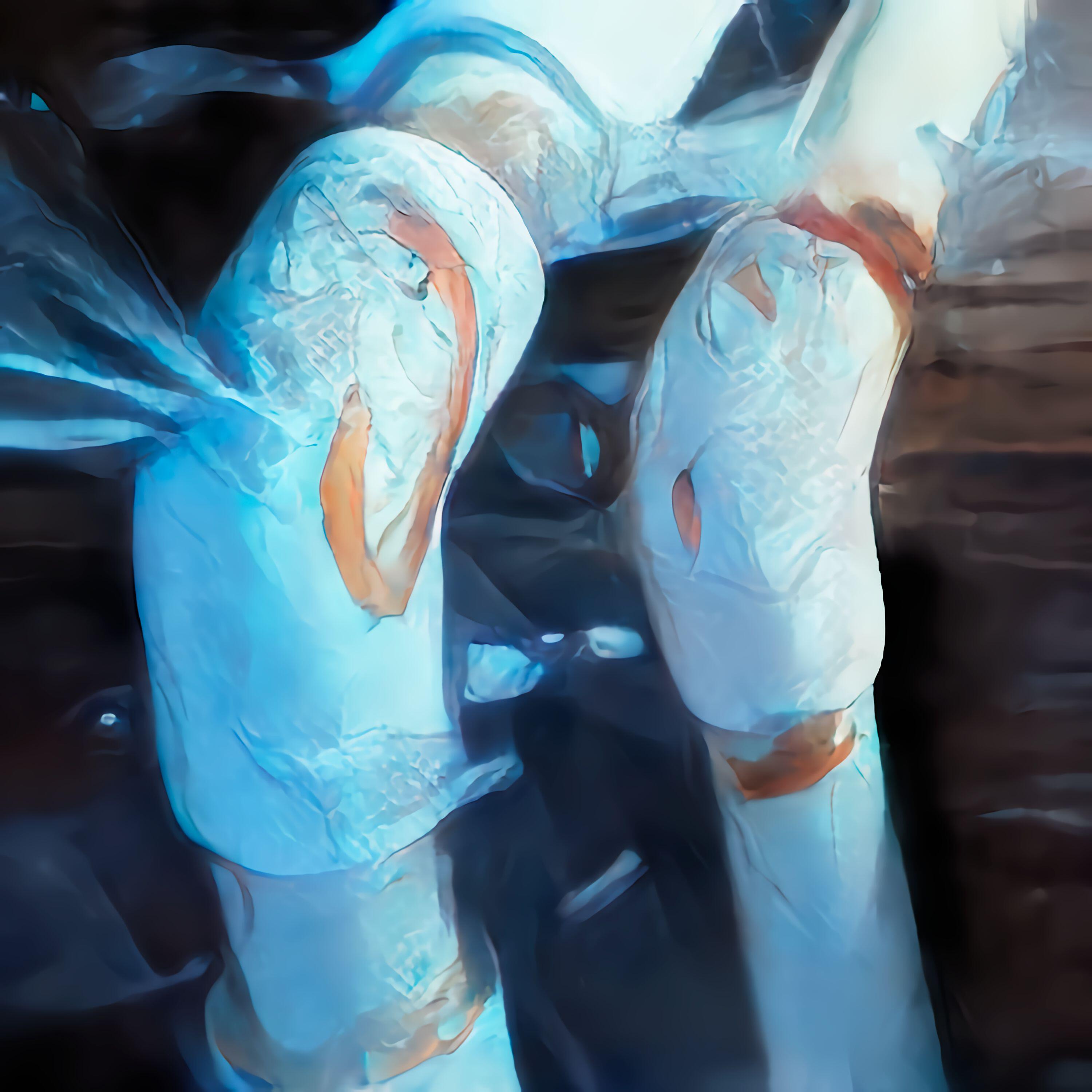 Релиз Память вечных грез