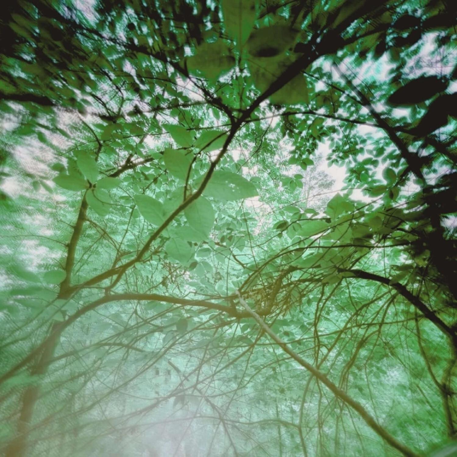 Релиз irreversible summer
