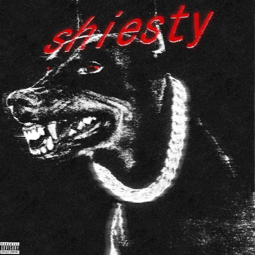 Релиз shiesty