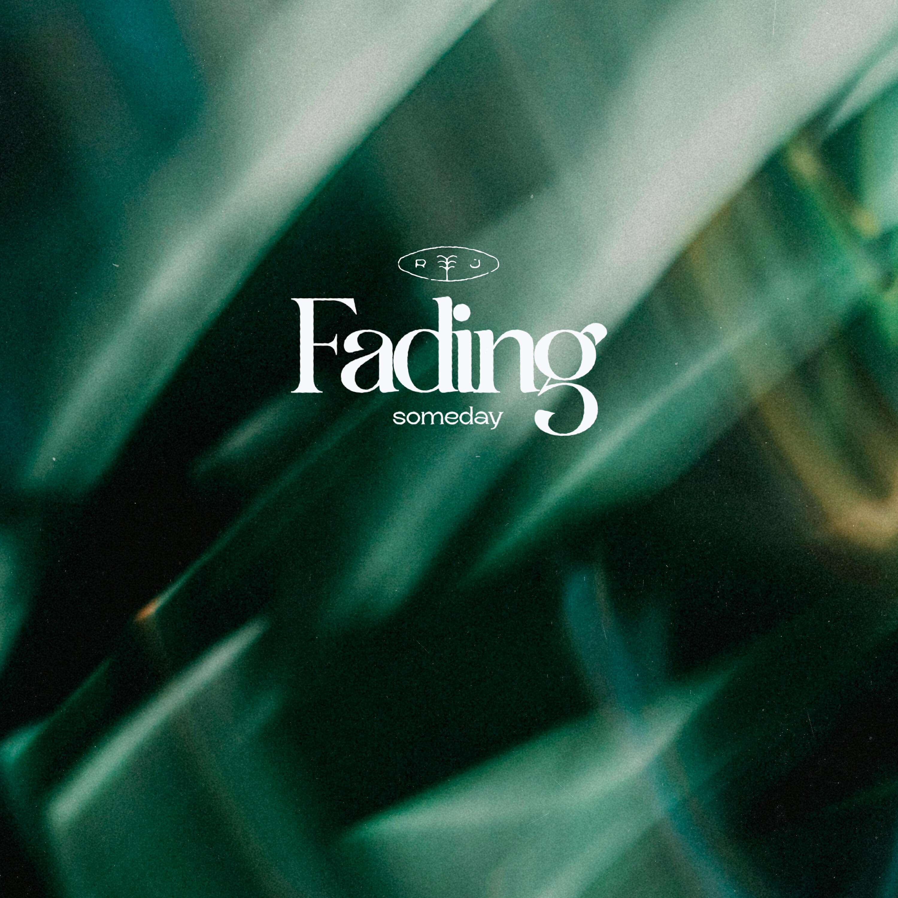 Релиз Fading