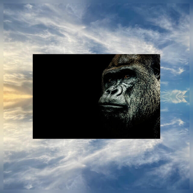 Релиз End of Summer